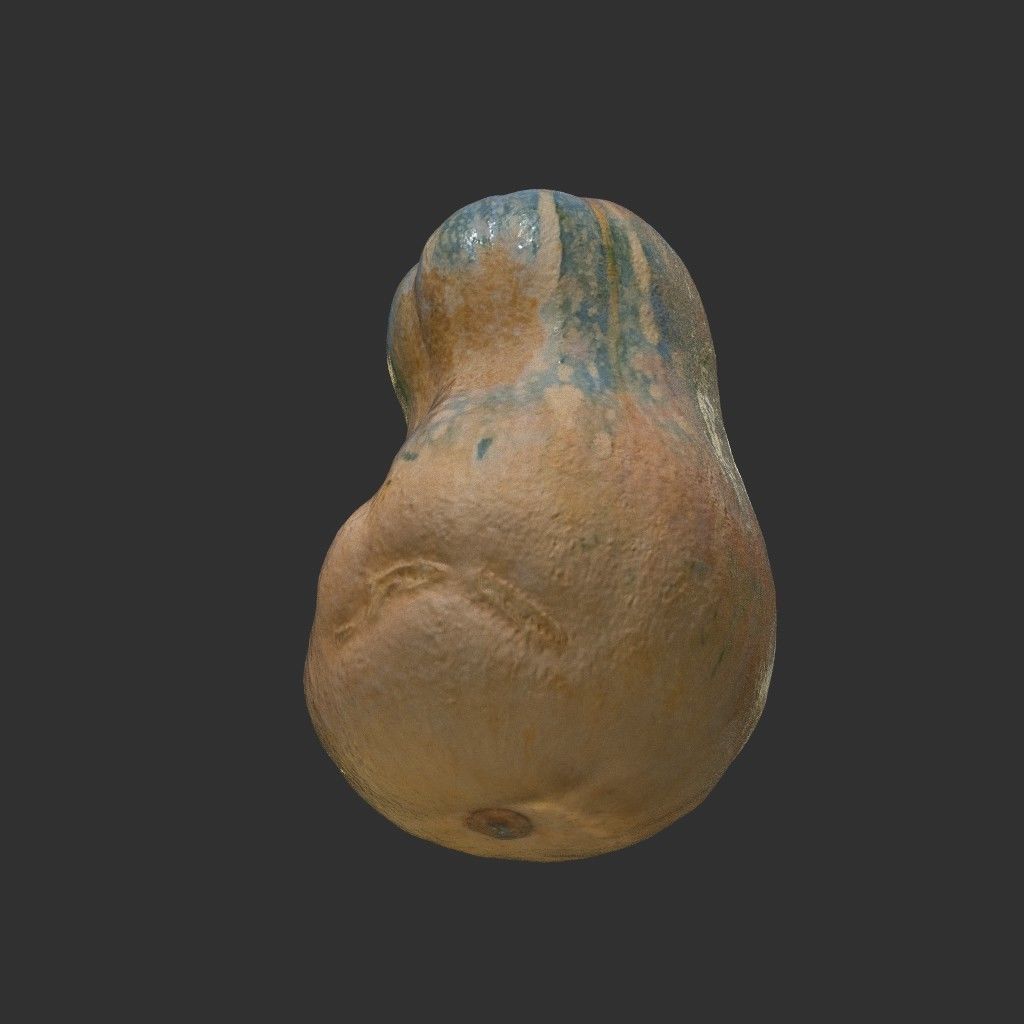 Low poly High poly Gourd 220327 - Photogrammetry Low-poly 3D model_9