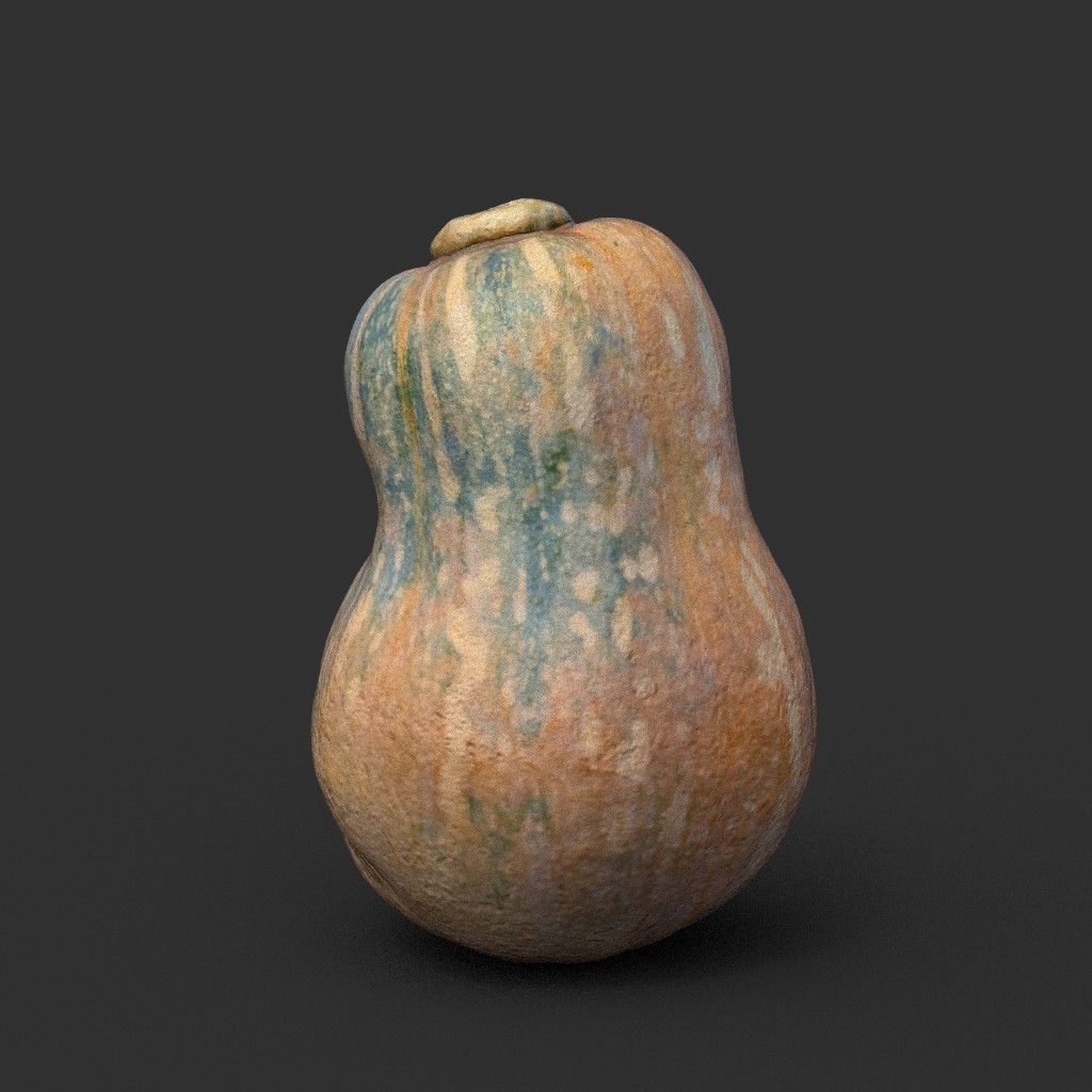 Low poly High poly Gourd 220327 - Photogrammetry Low-poly 3D model_5