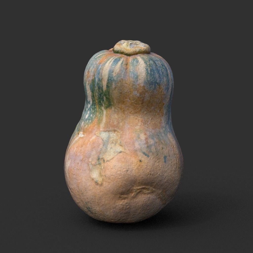 Low poly High poly Gourd 220327 - Photogrammetry Low-poly 3D model_3