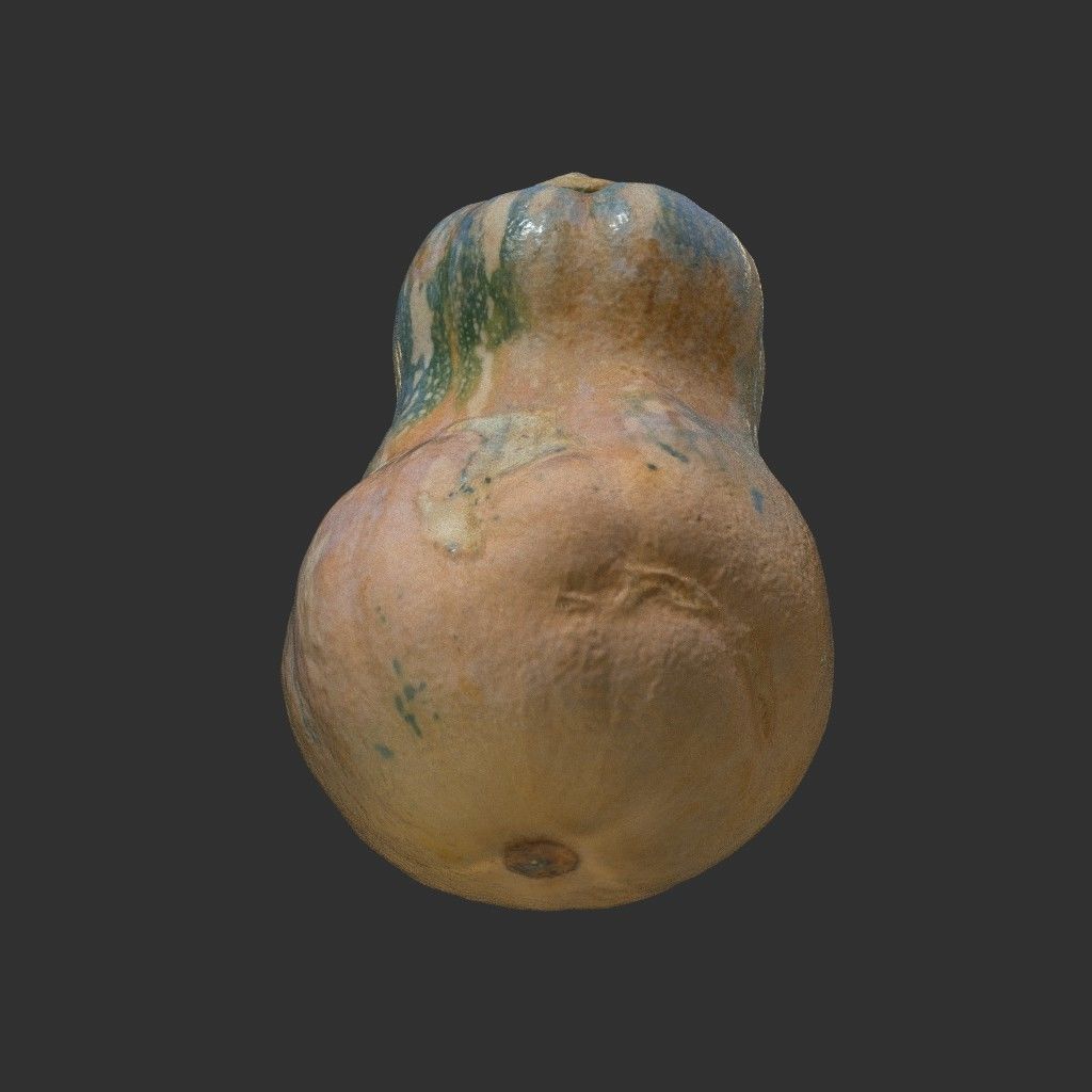 Low poly High poly Gourd 220327 - Photogrammetry Low-poly 3D model_8