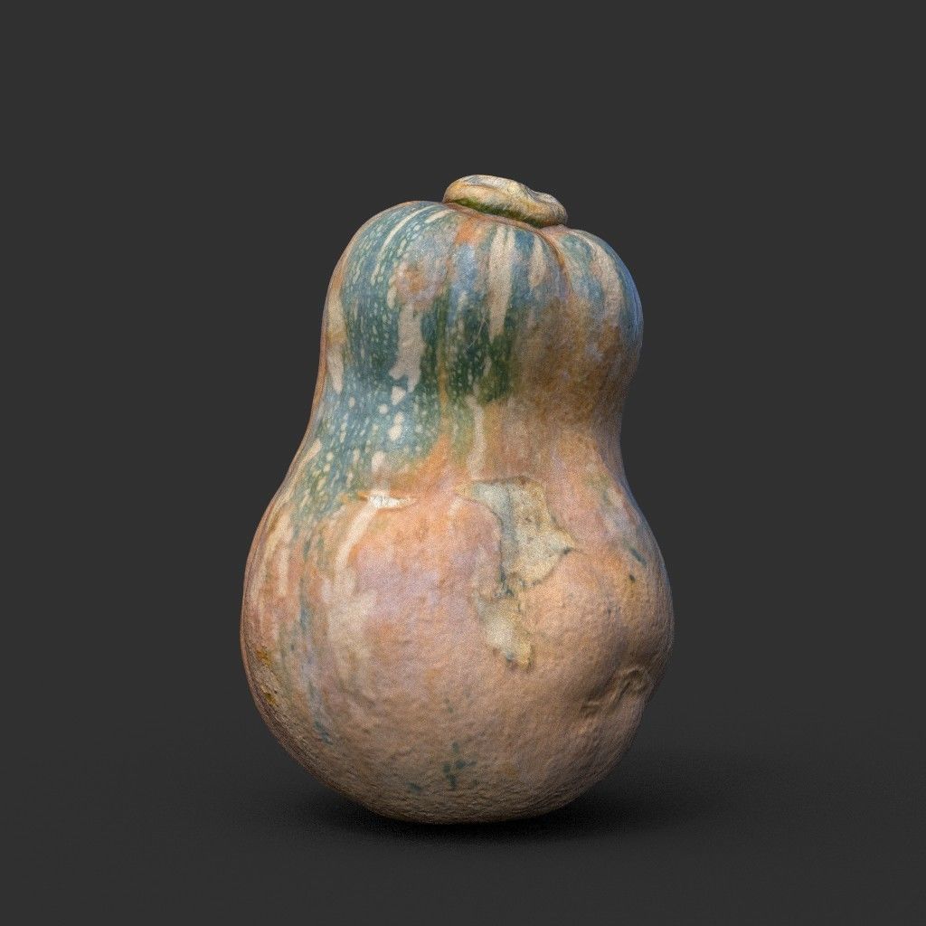 Low poly High poly Gourd 220327 - Photogrammetry Low-poly 3D model_2
