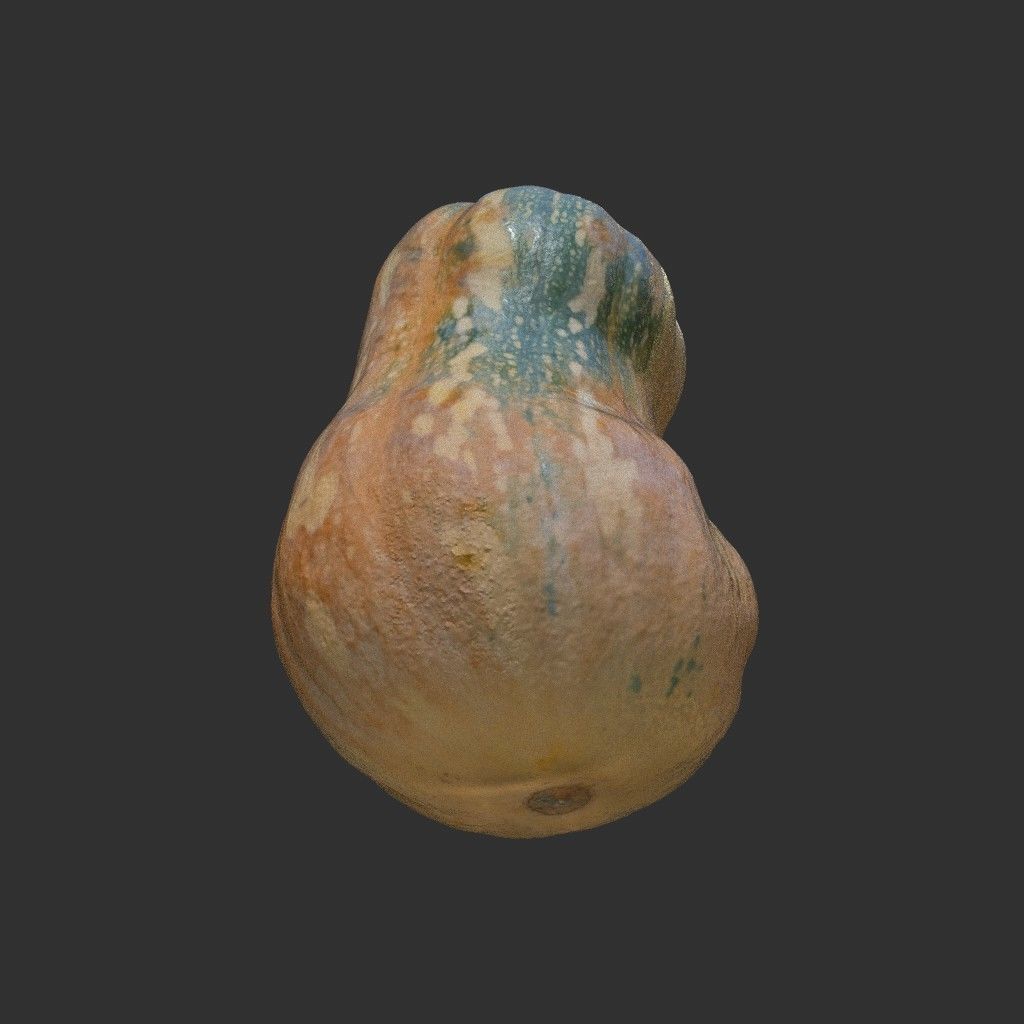 Low poly High poly Gourd 220327 - Photogrammetry Low-poly 3D model_7