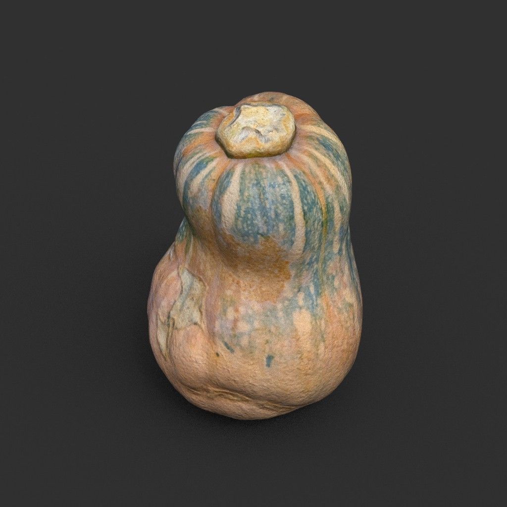 Low poly High poly Gourd 220327 - Photogrammetry Low-poly 3D model_6