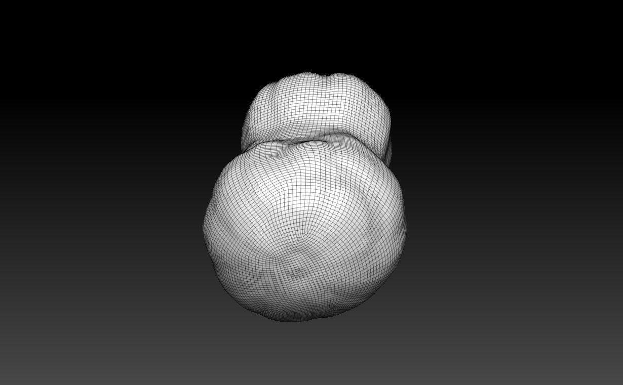 Low poly High poly Gourd 220327 - Photogrammetry Low-poly 3D model_17