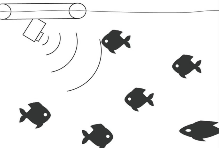 Floating Mount Gopro Fish Pool 3D print model_1