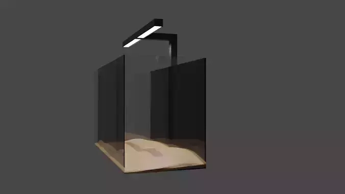 Empty Fish Tank 3D model
