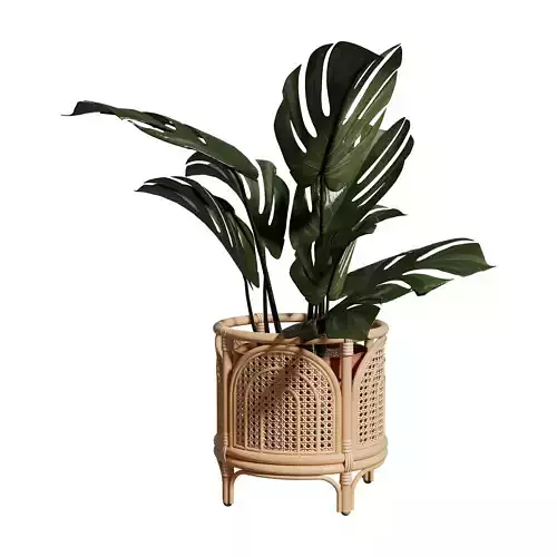 Faiths Rainbow Planter