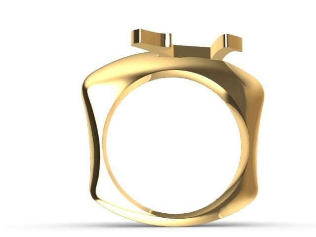 alpha rings stl verified  3D print model_2