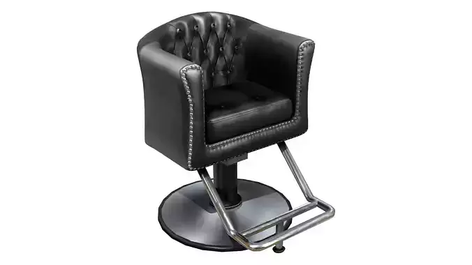 Hair Dresser Barber Chair