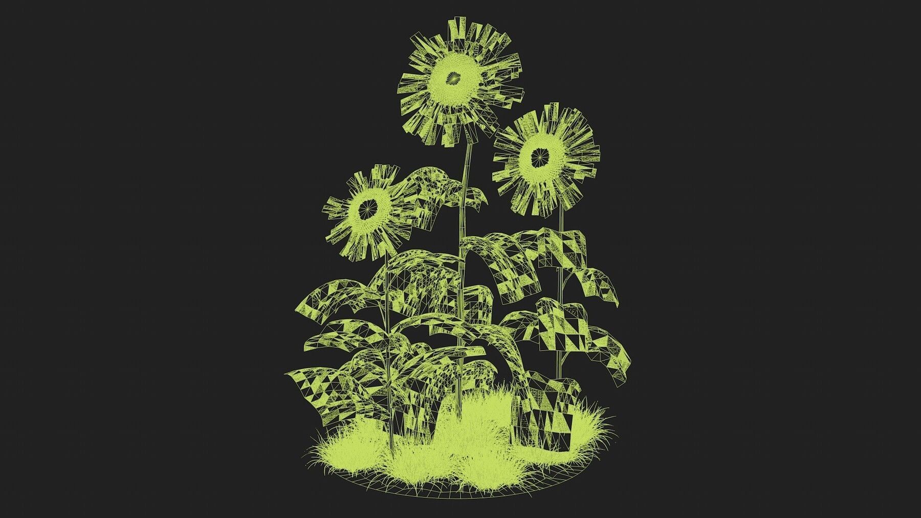 Three sunflowers 3D model_6