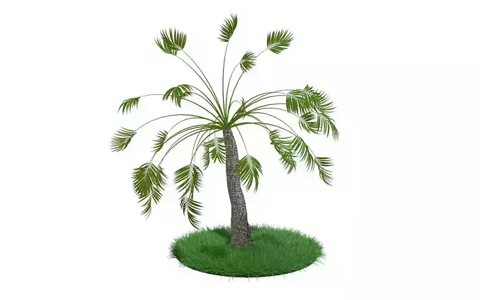 Palm tree R2 3D model