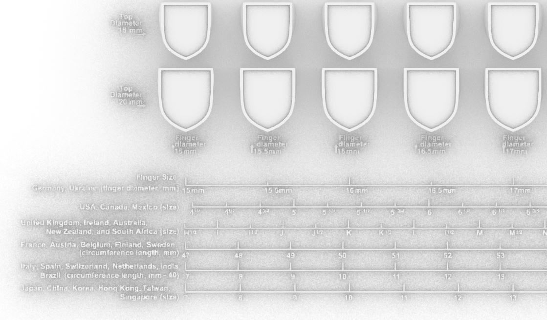 Signet rings set HERALDIC SHIELD top 3D print model_2