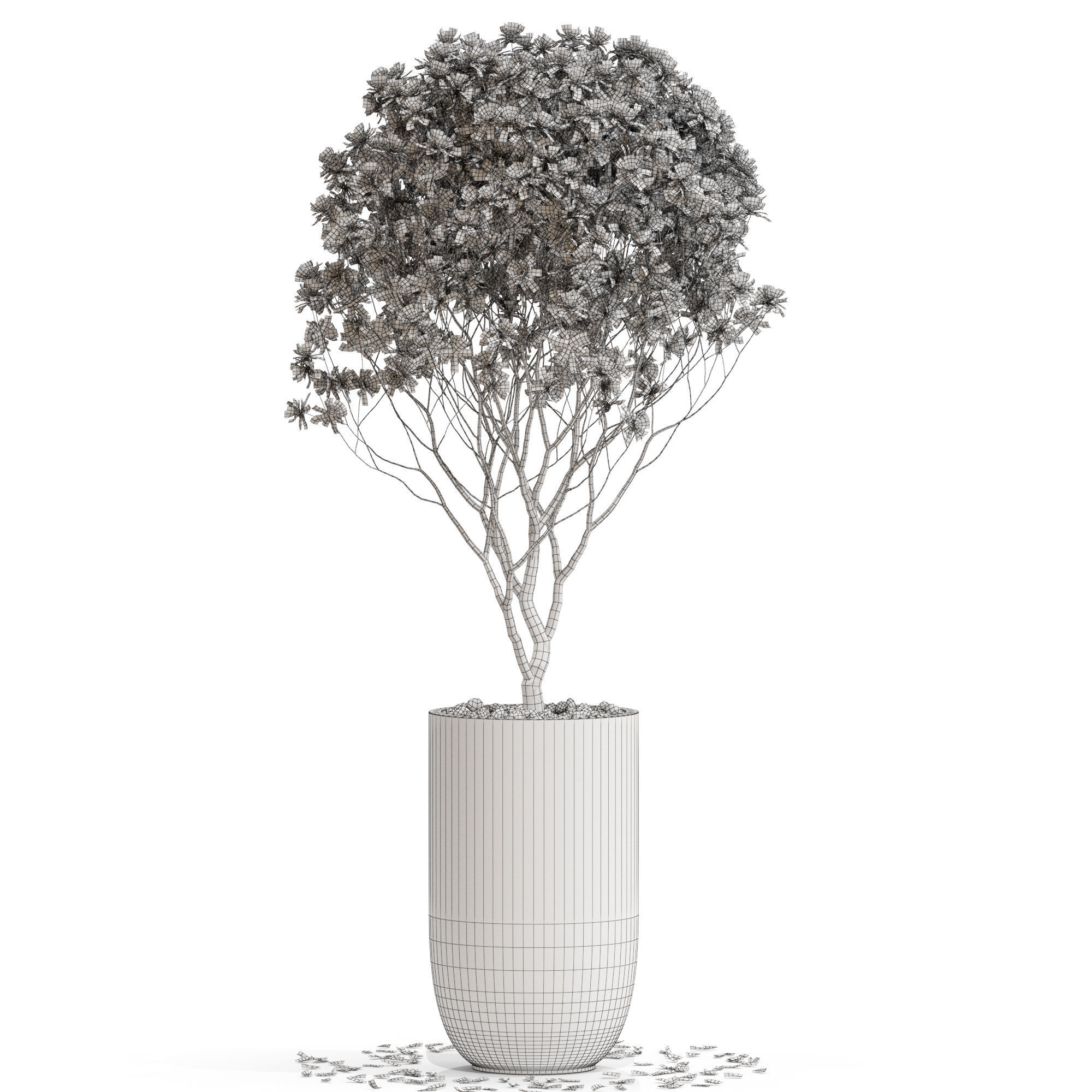 Plants collection 657 3D model_3