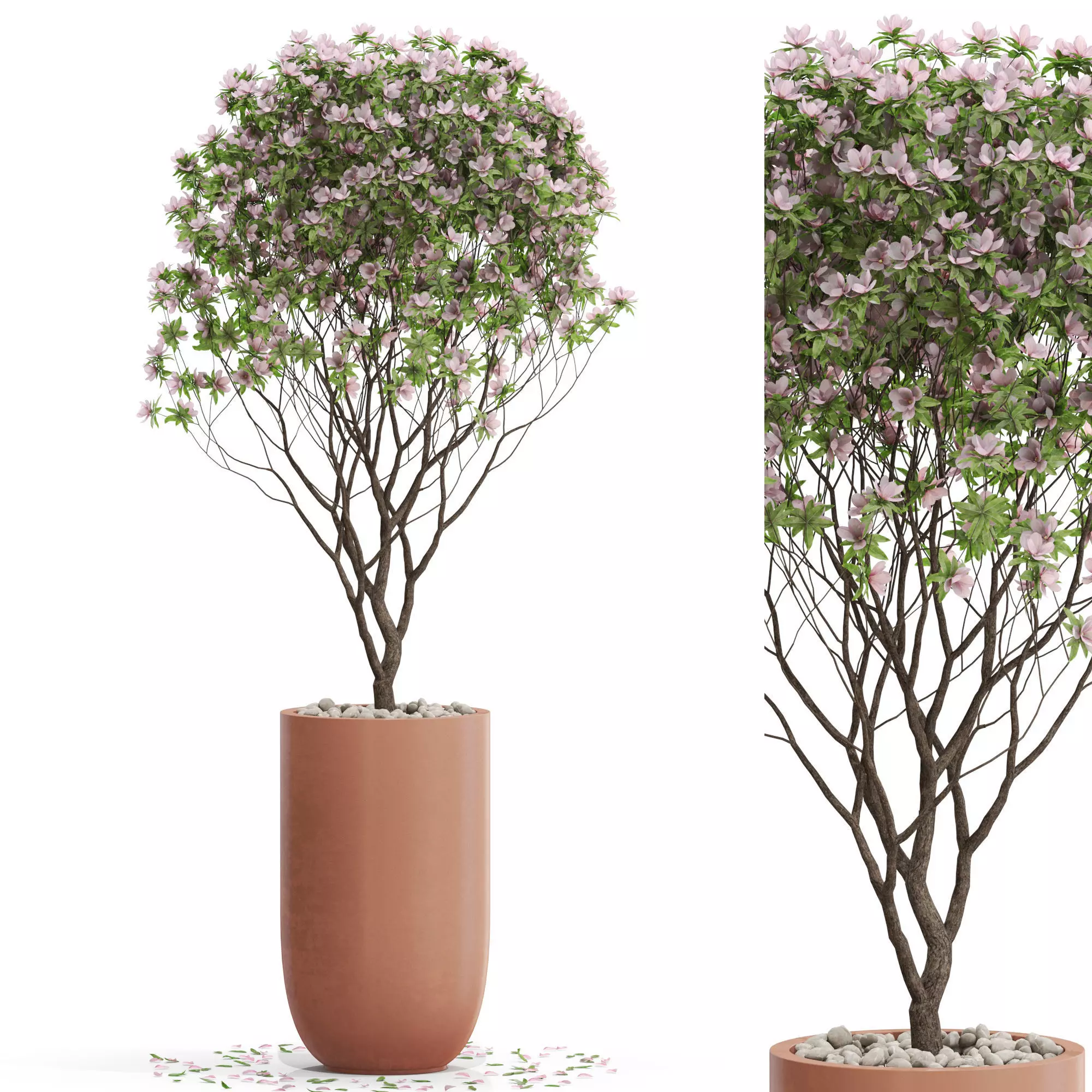 Plants collection 657 3D model_0