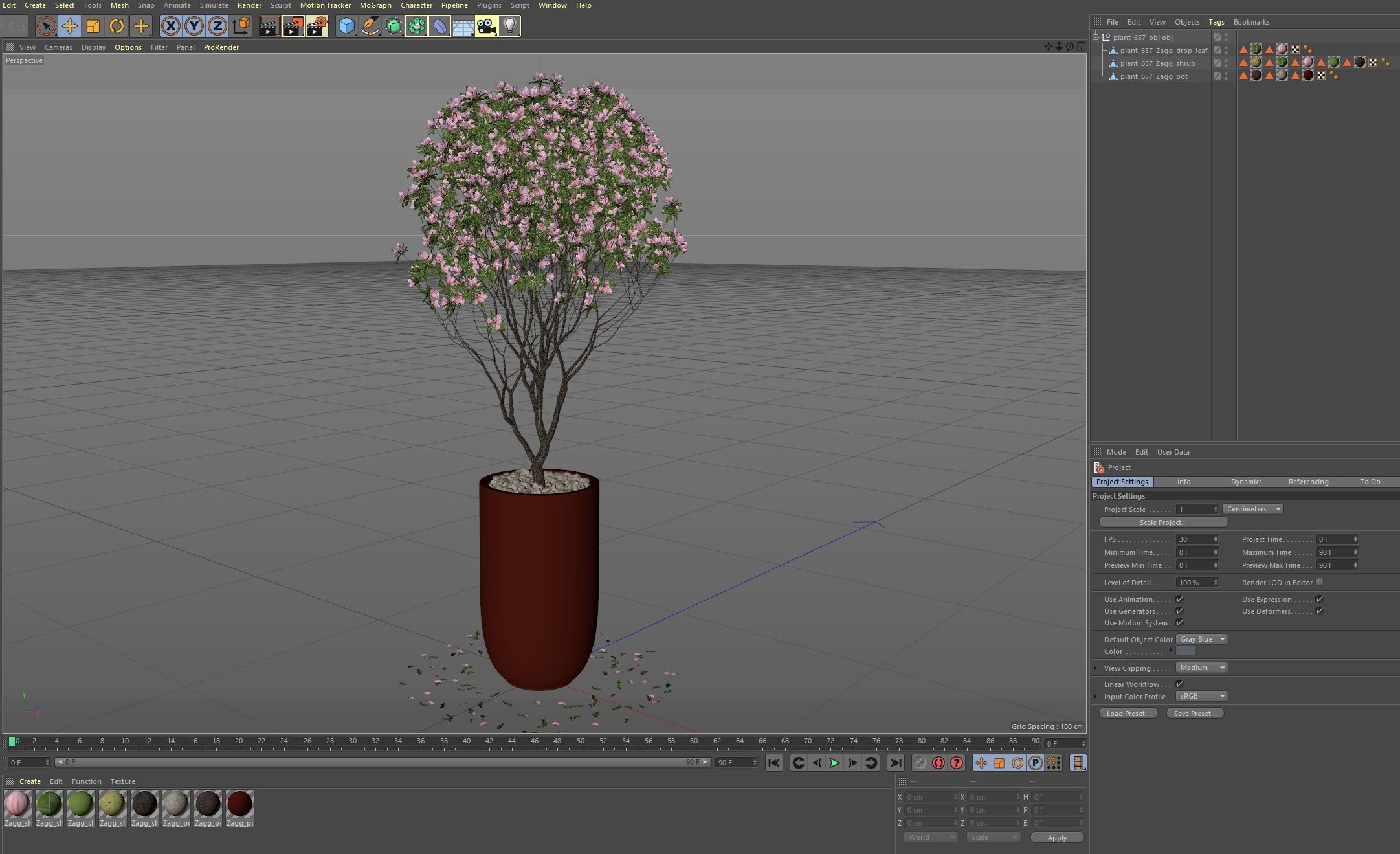 Plants collection 657 3D model_5