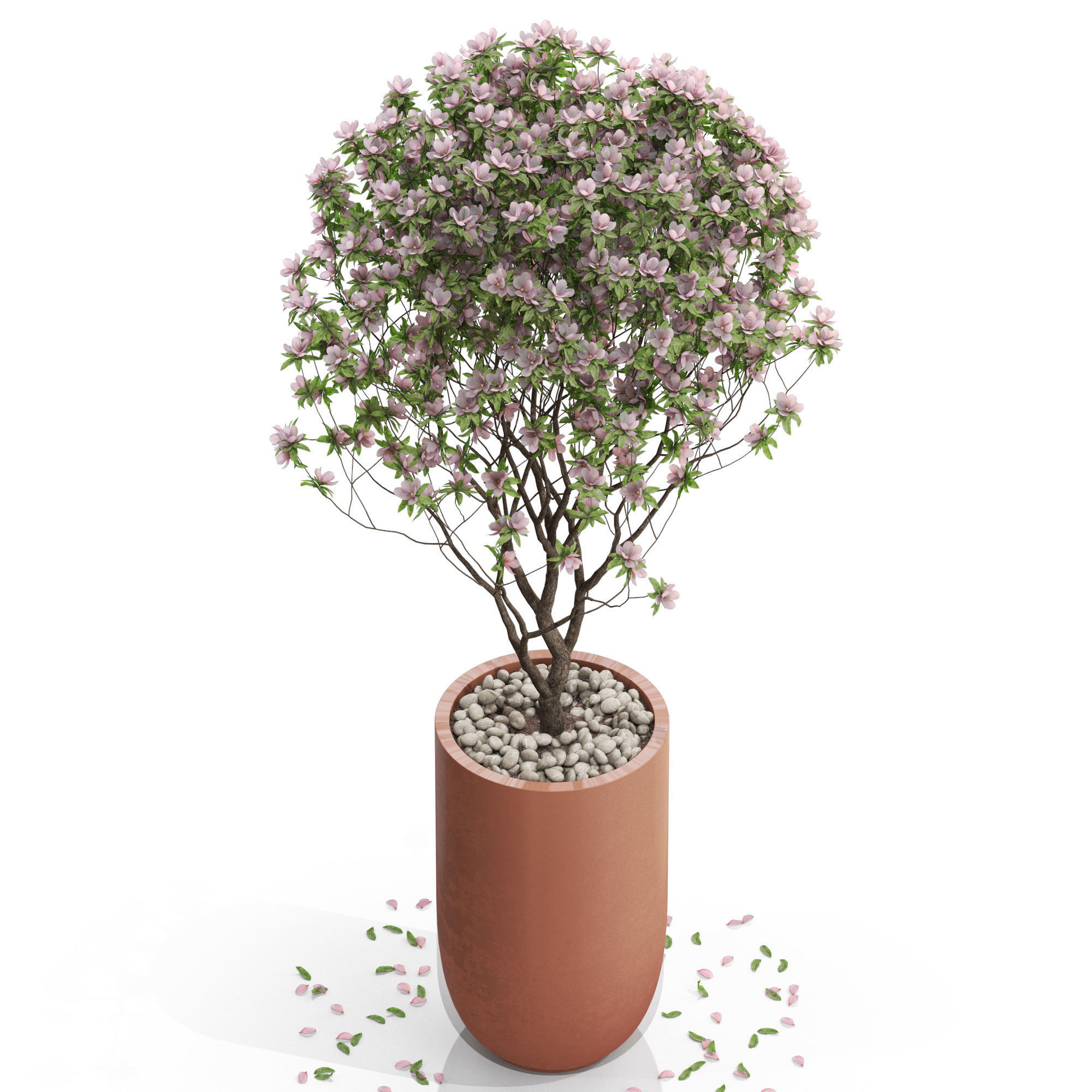 Plants collection 657 3D model_2