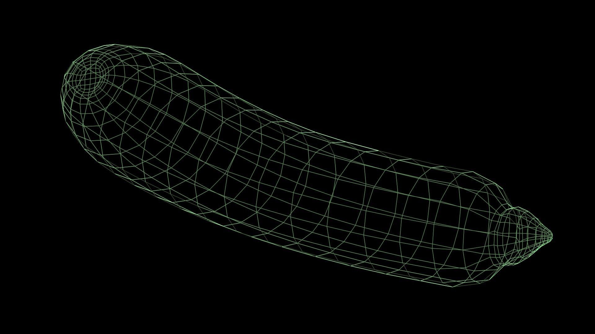 Zucchini cucumber Low-poly 3D model_4