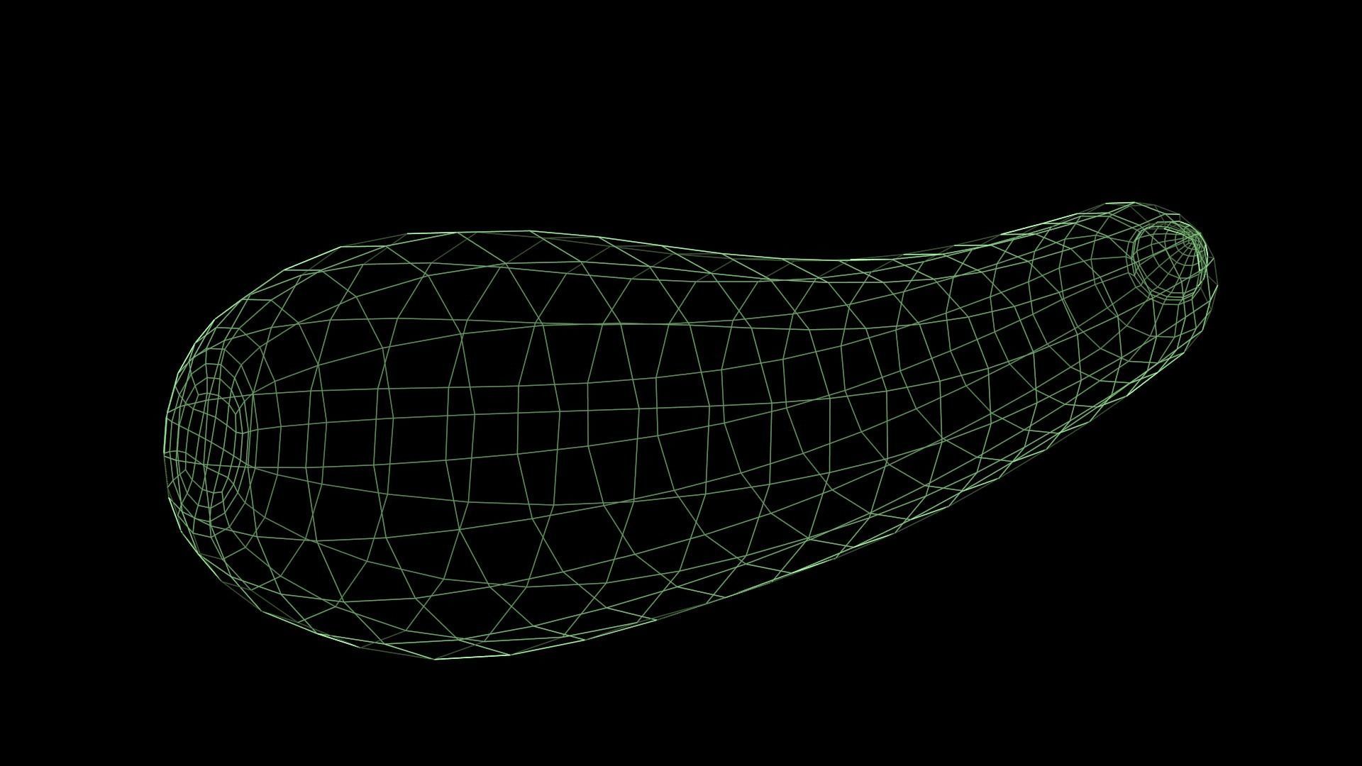 Zucchini cucumber Low-poly 3D model_5