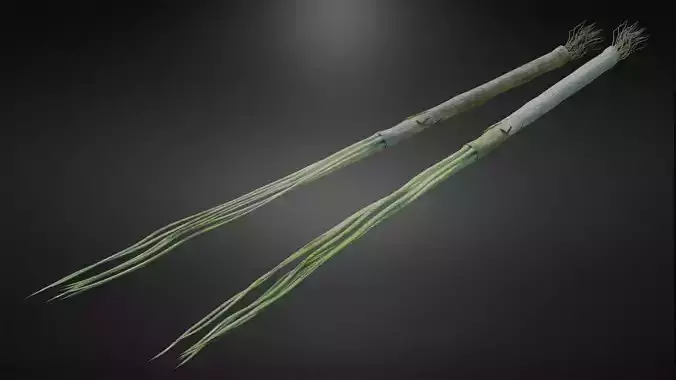 Scallion two sticks Low-poly 3D model