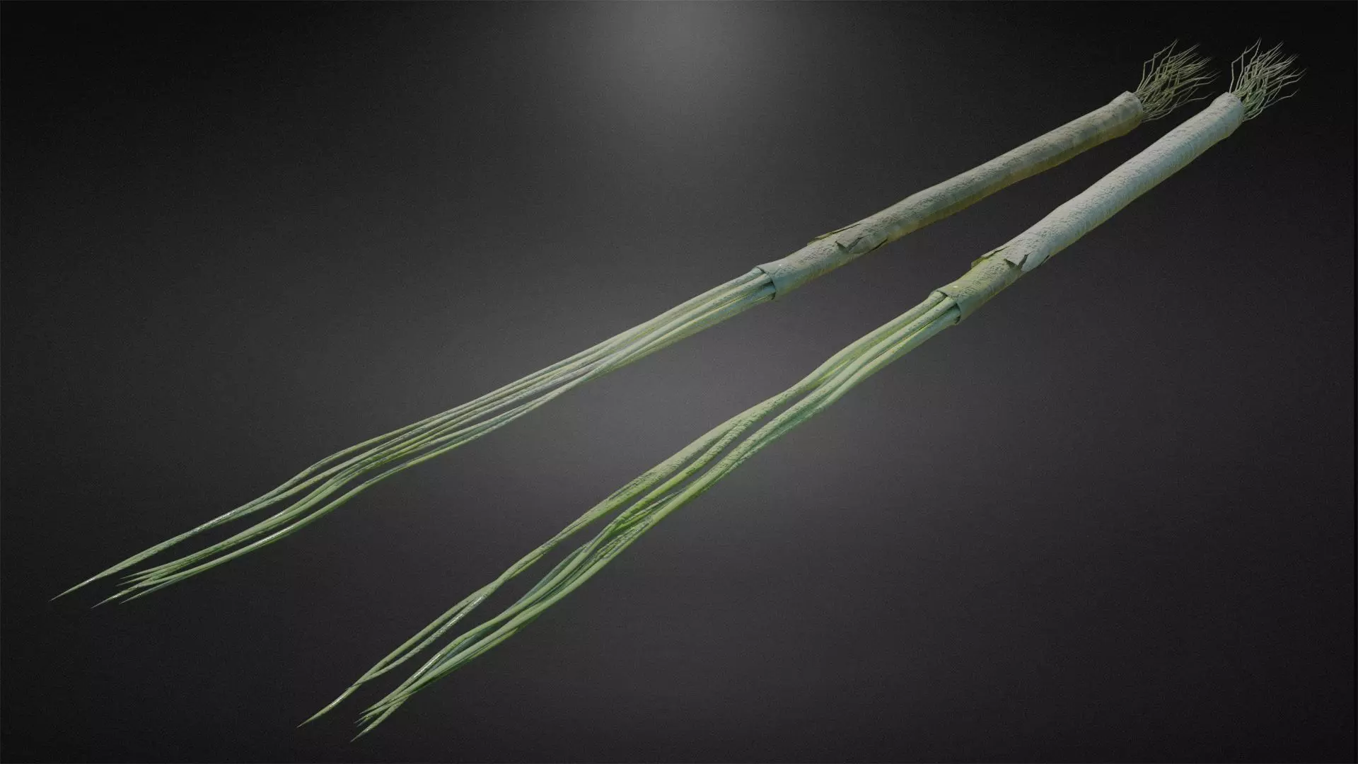 Scallion two sticks Low-poly 3D model