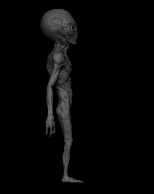 3D Alien humanoid 3D model_2