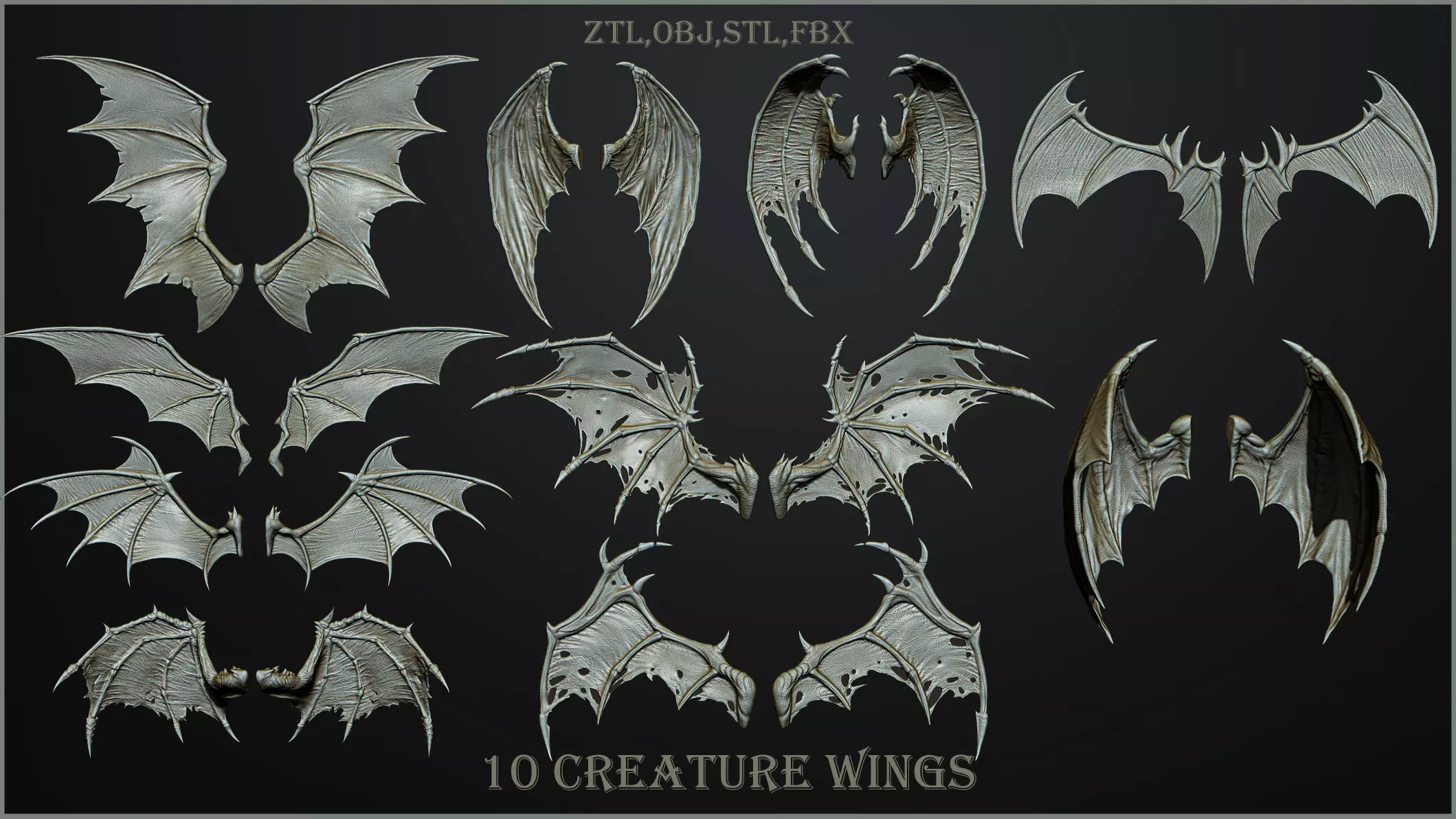 10 Creature wings  3D model_0