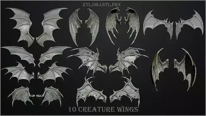 10 Creature wings  3D model
