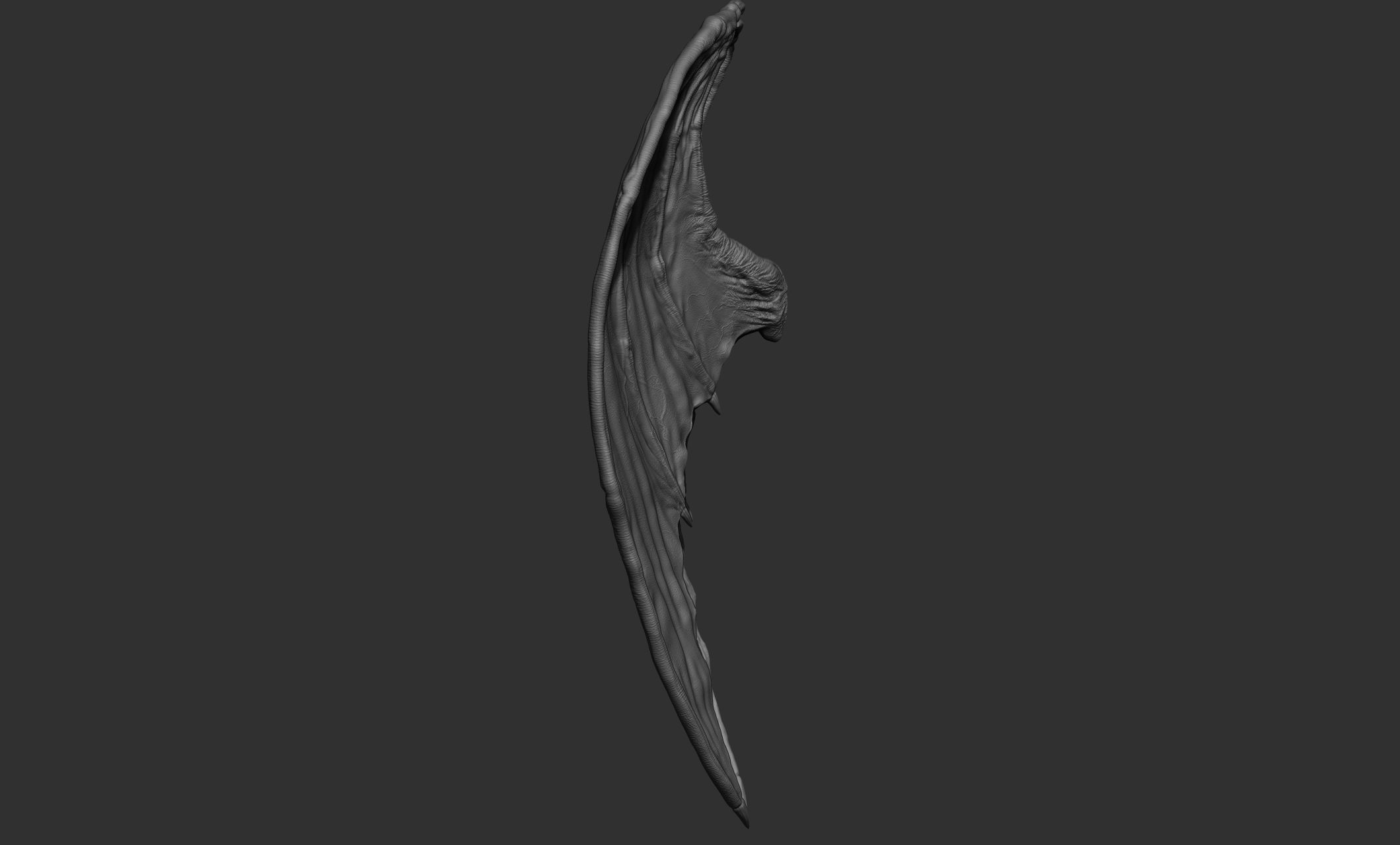 10 Creature wings  3D model_44