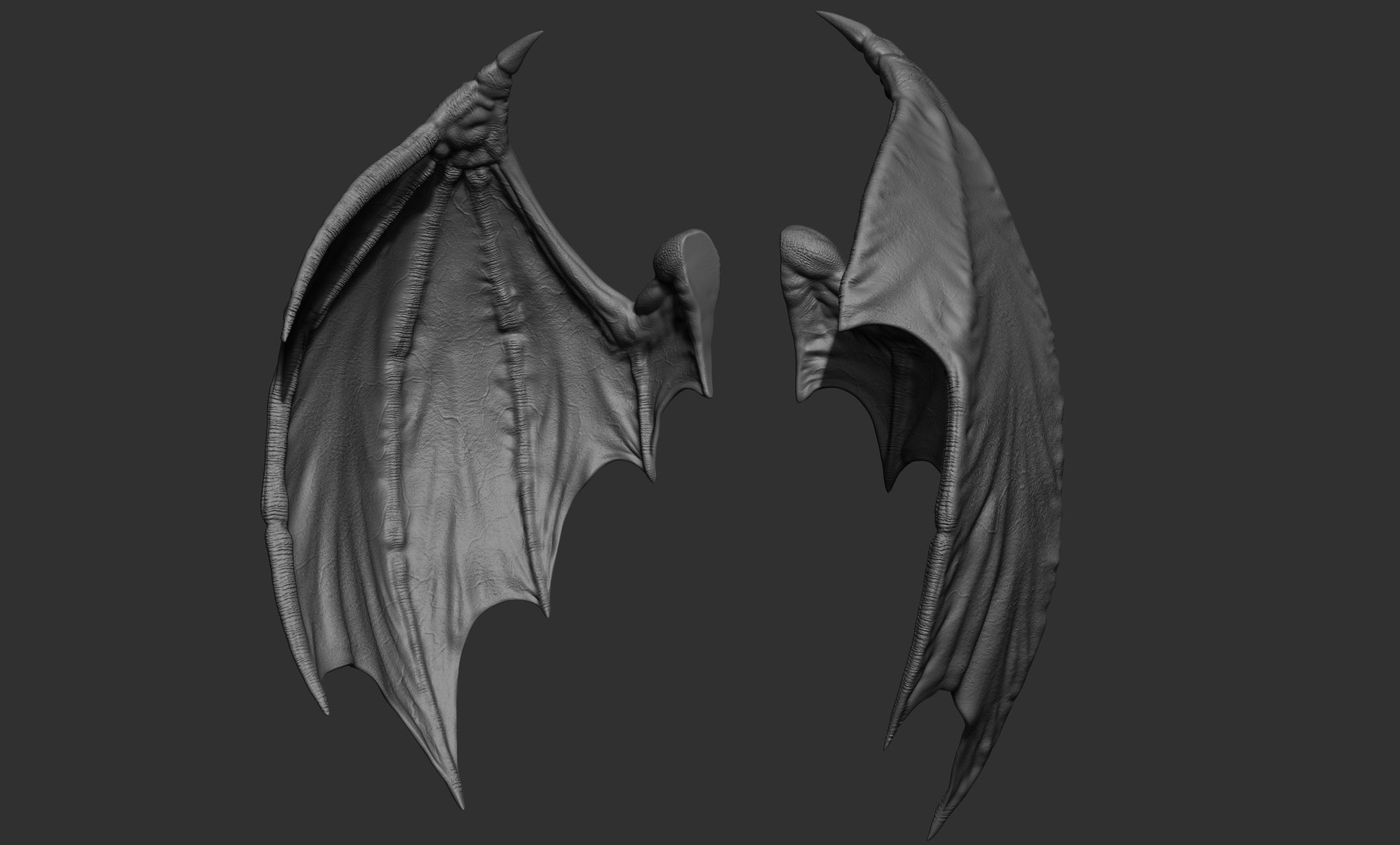 10 Creature wings  3D model_81