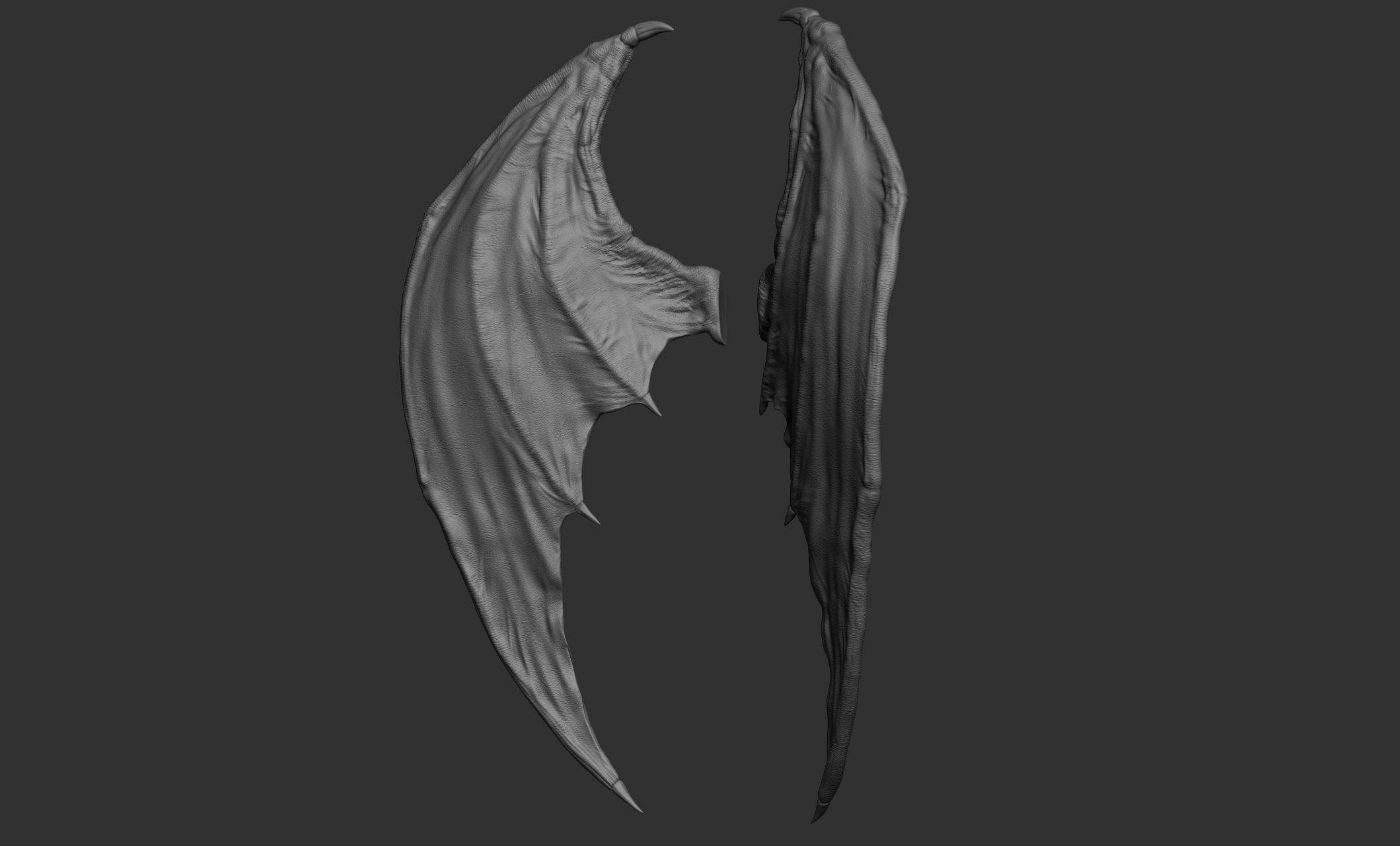 10 Creature wings  3D model_43