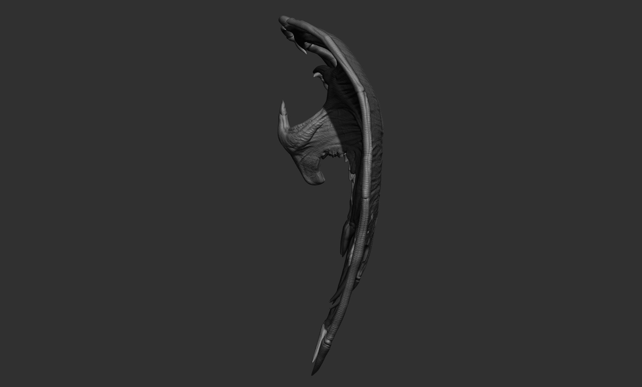 10 Creature wings  3D model_50