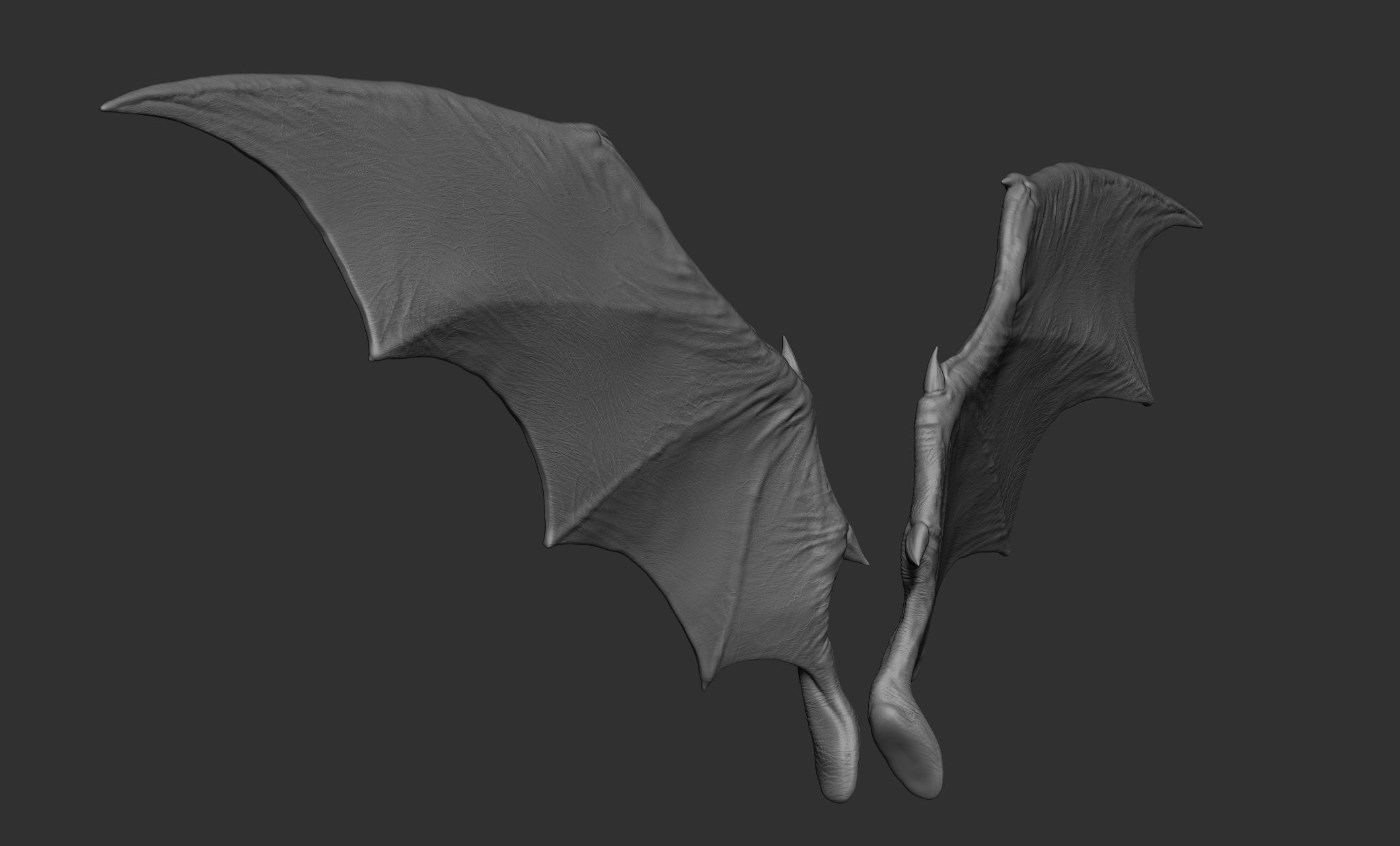 10 Creature wings  3D model_15