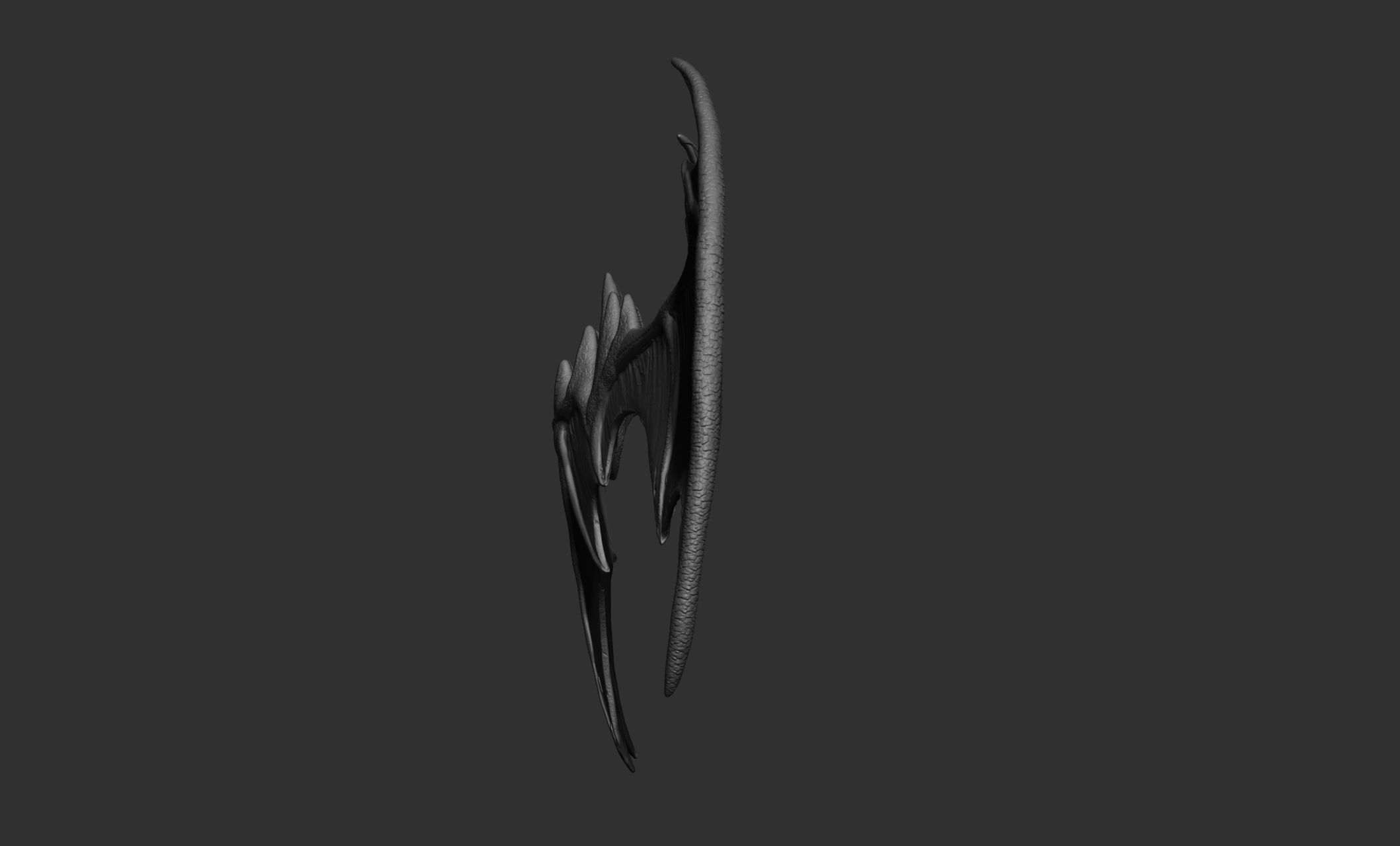10 Creature wings  3D model_75