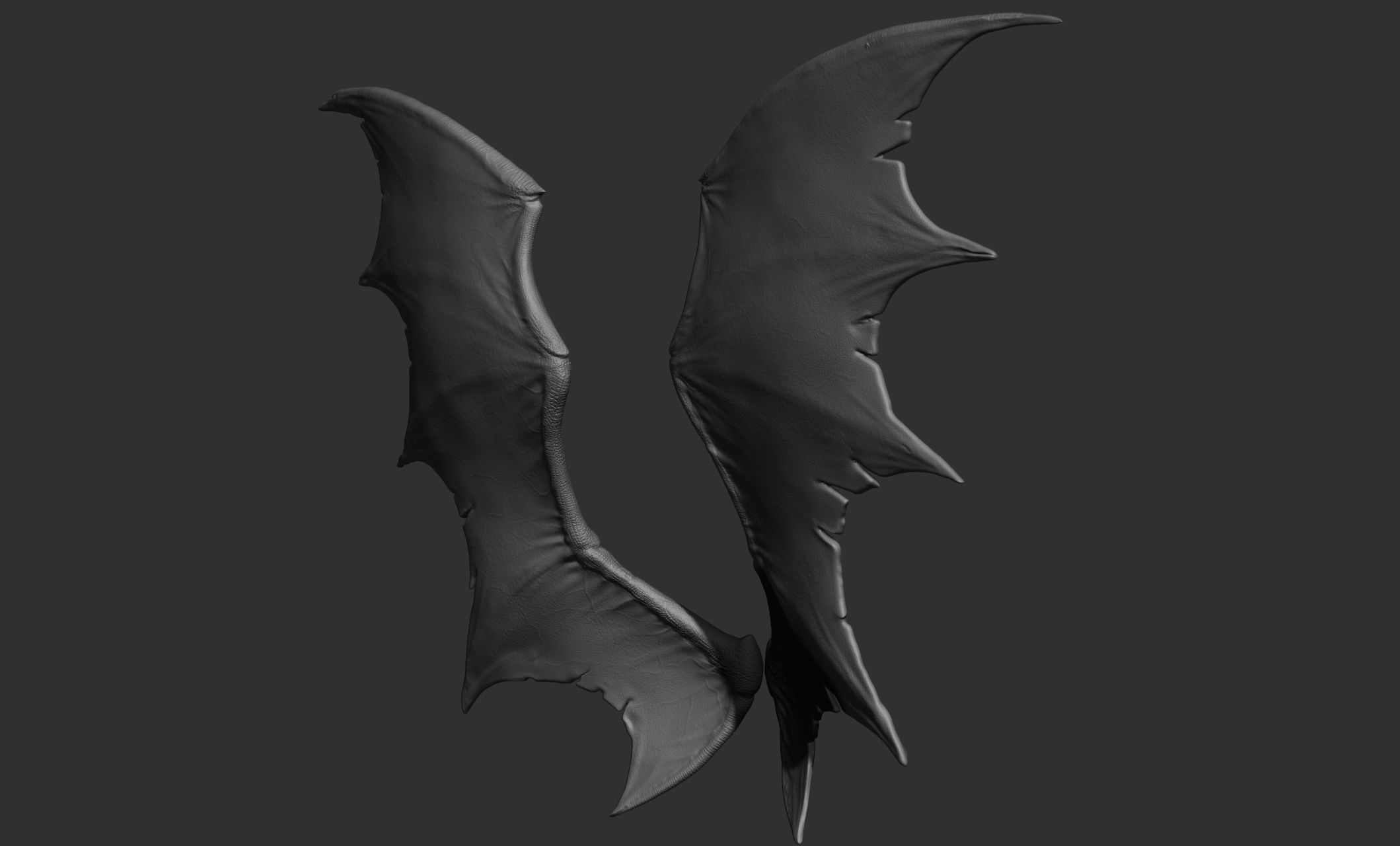 10 Creature wings  3D model_9