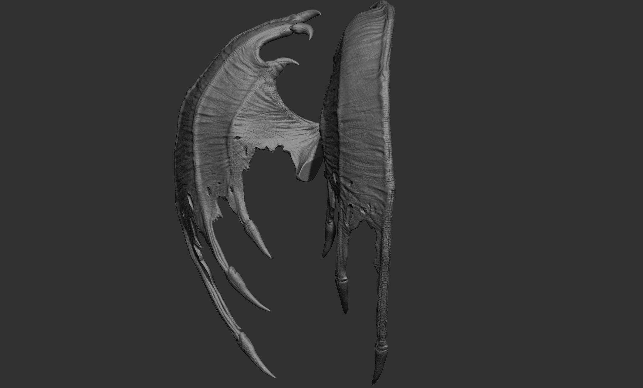 10 Creature wings  3D model_53