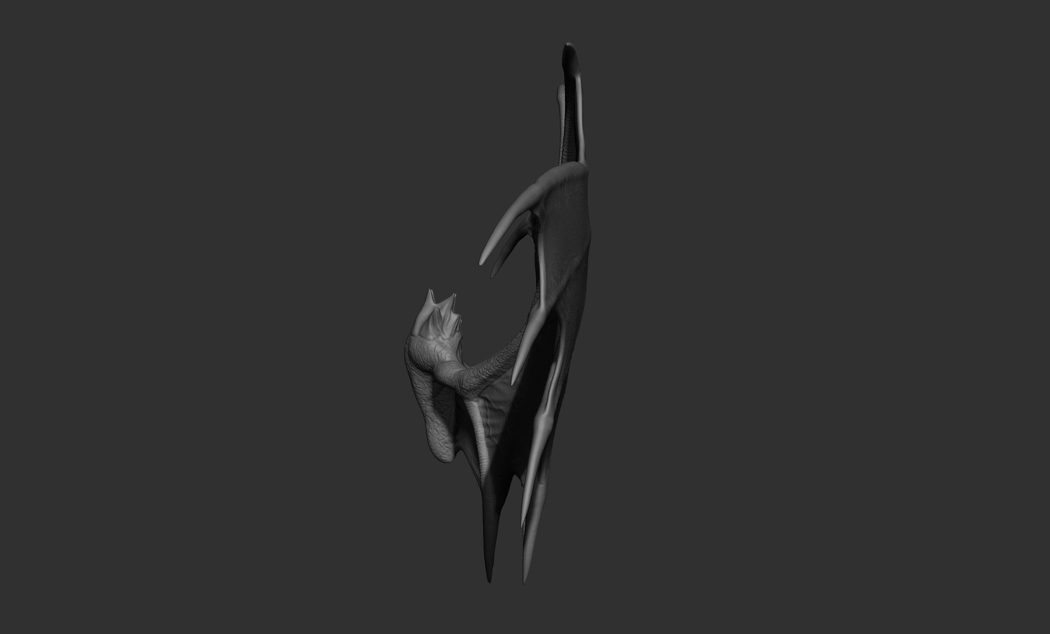 10 Creature wings  3D model_23