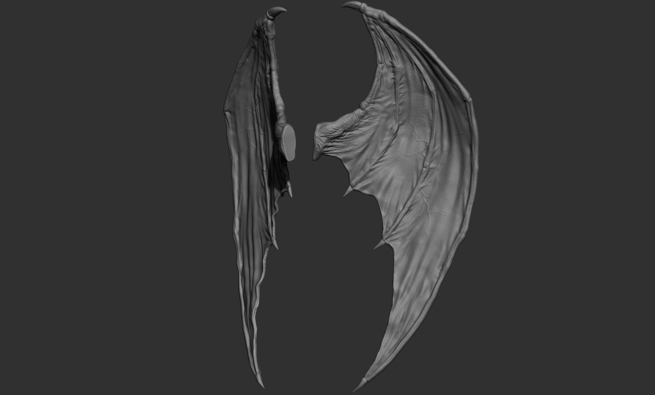 10 Creature wings  3D model_39
