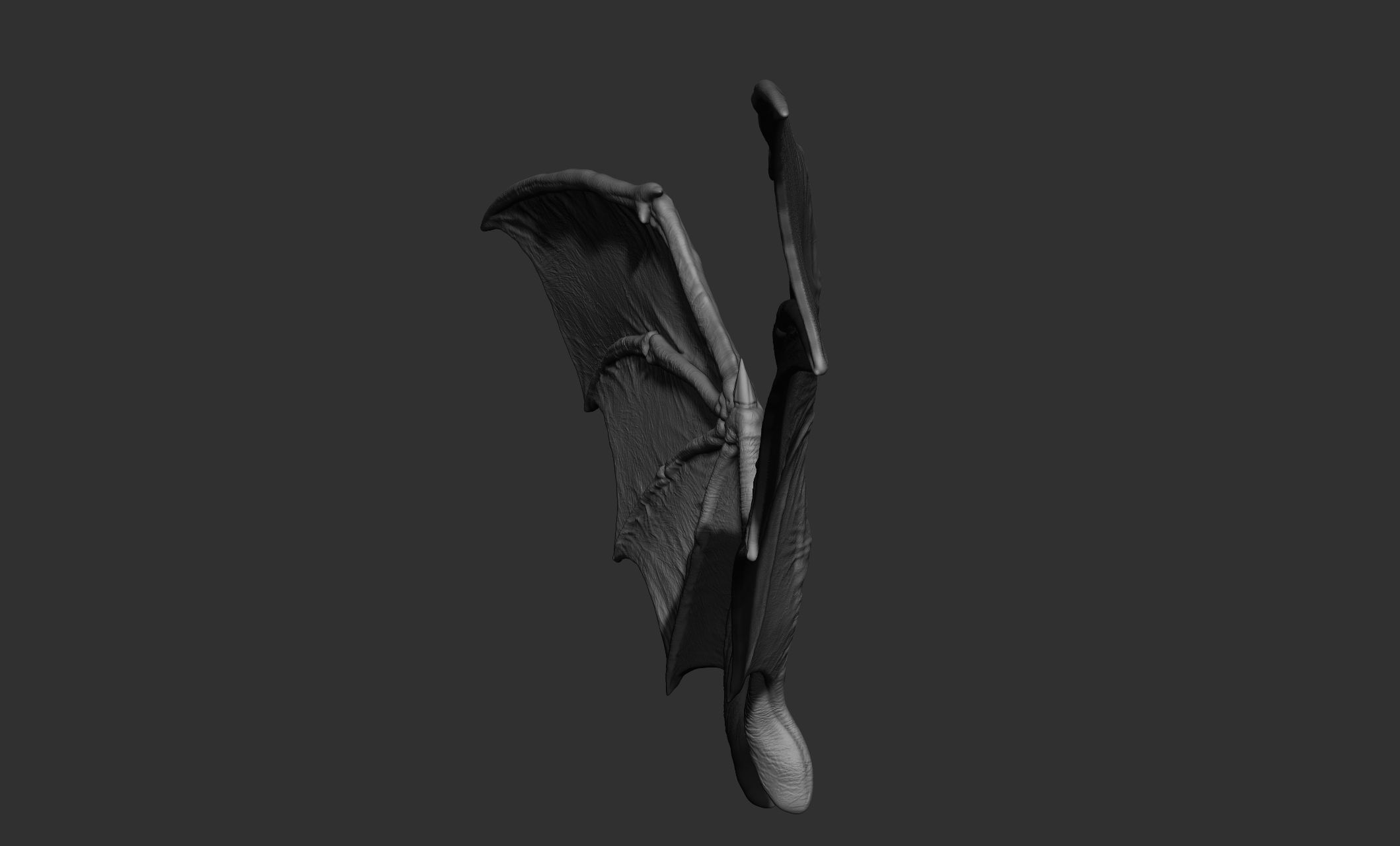 10 Creature wings  3D model_14