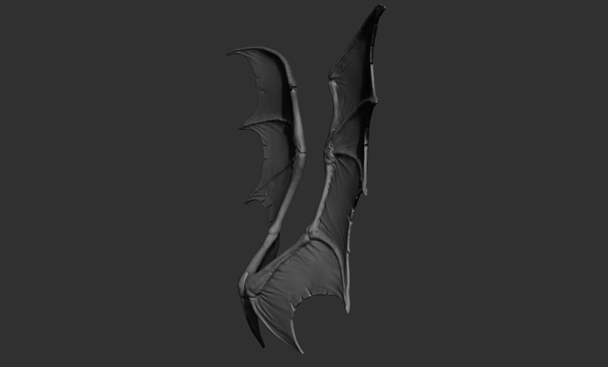 10 Creature wings  3D model_5