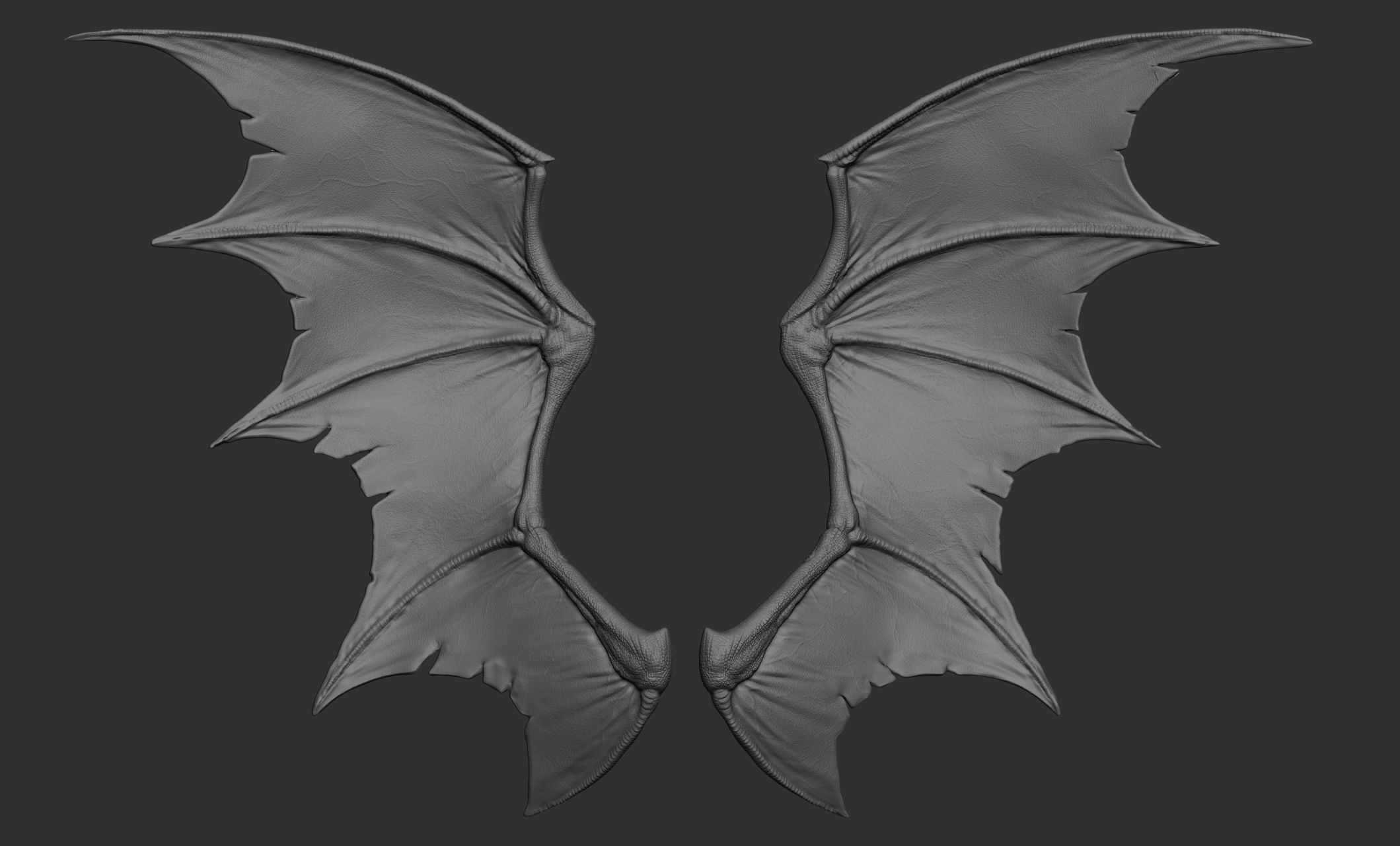 10 Creature wings  3D model_3
