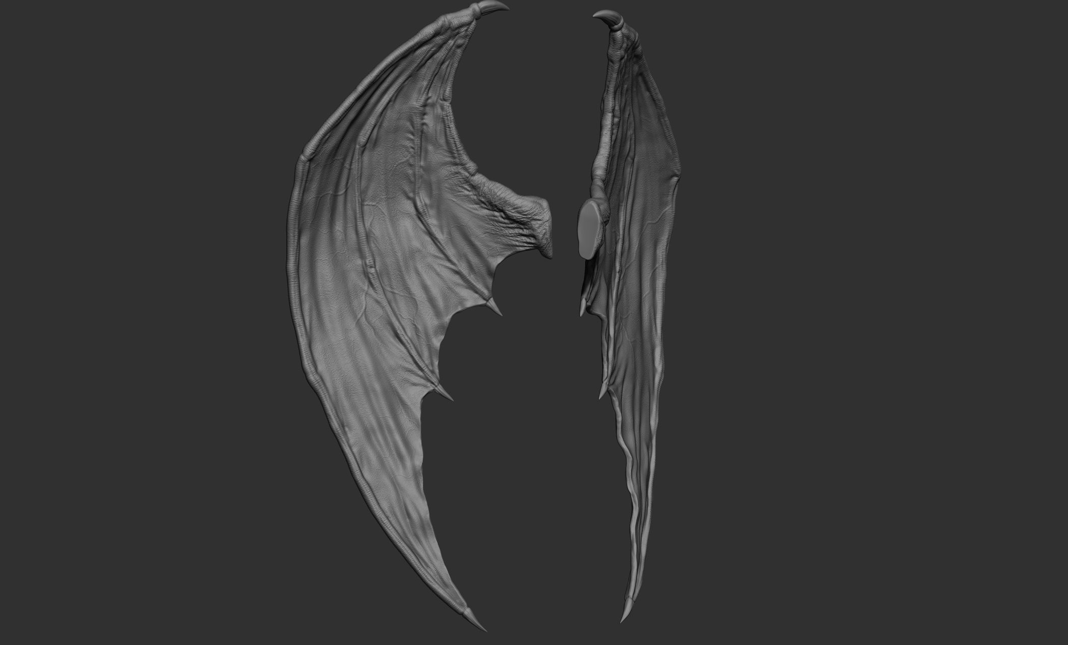 10 Creature wings  3D model_45