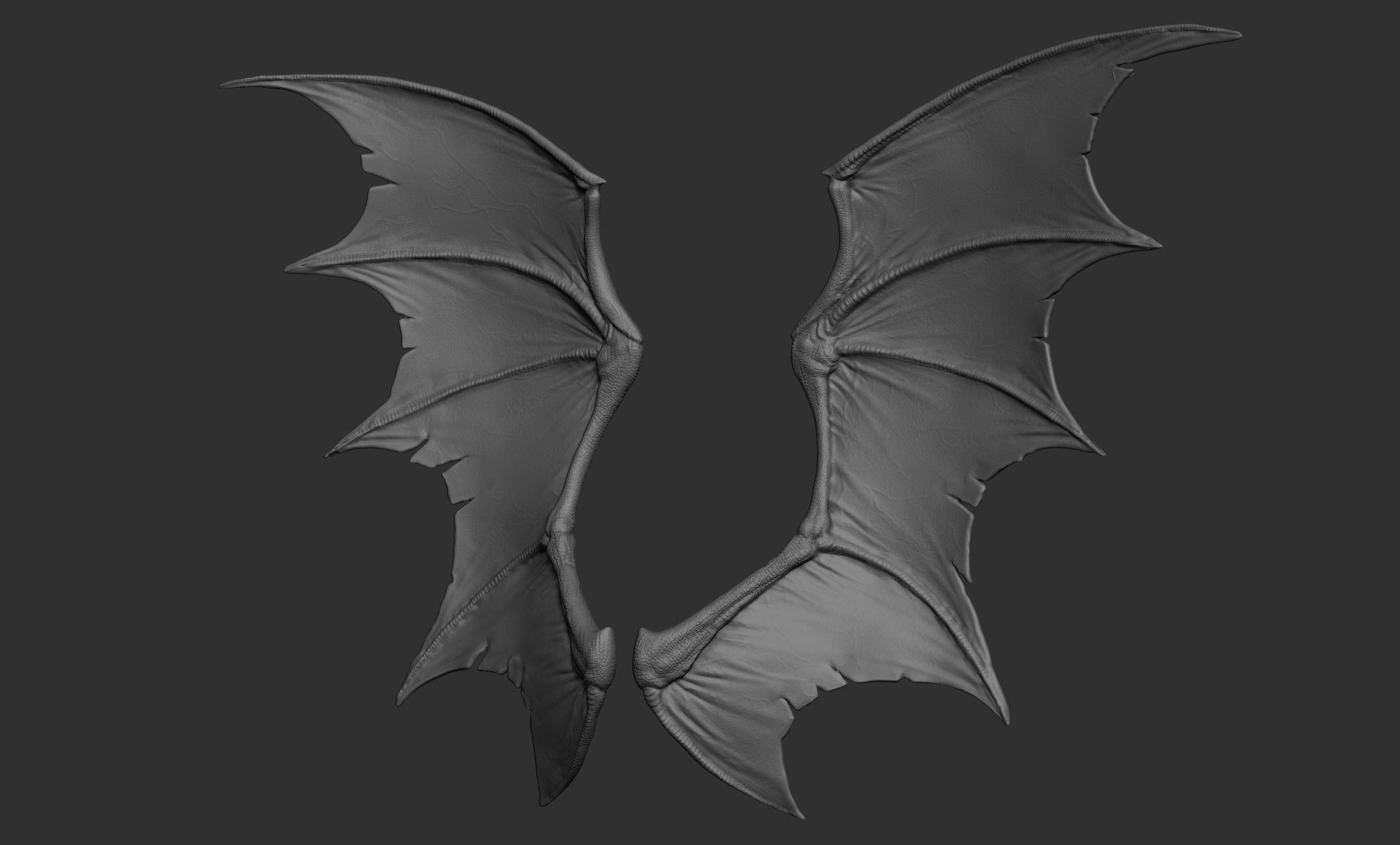 10 Creature wings  3D model_4