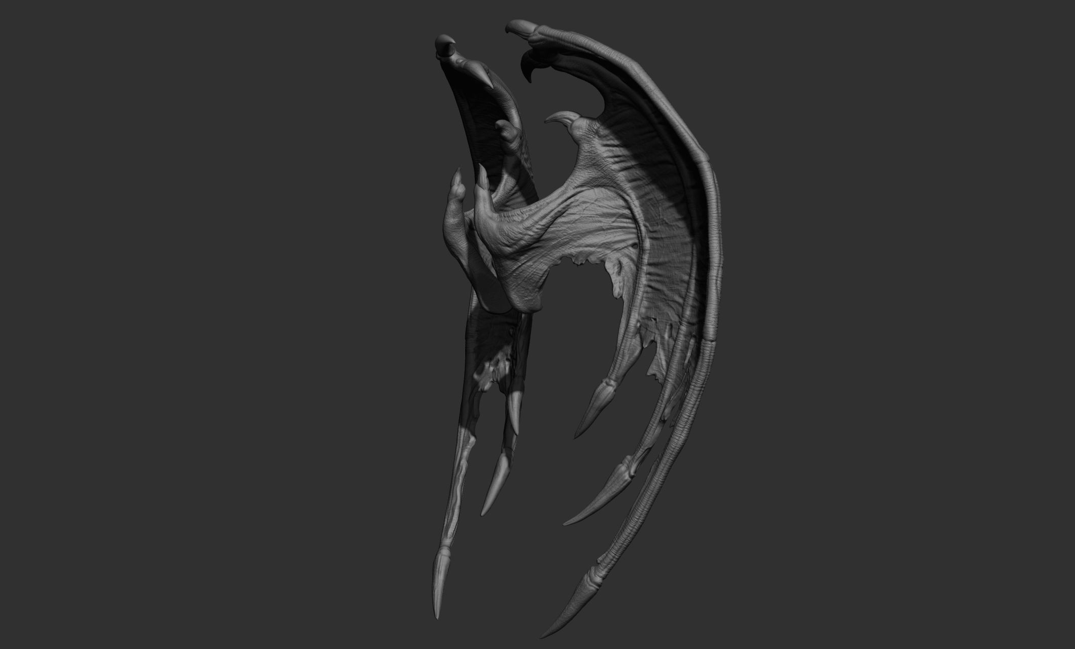 10 Creature wings  3D model_49
