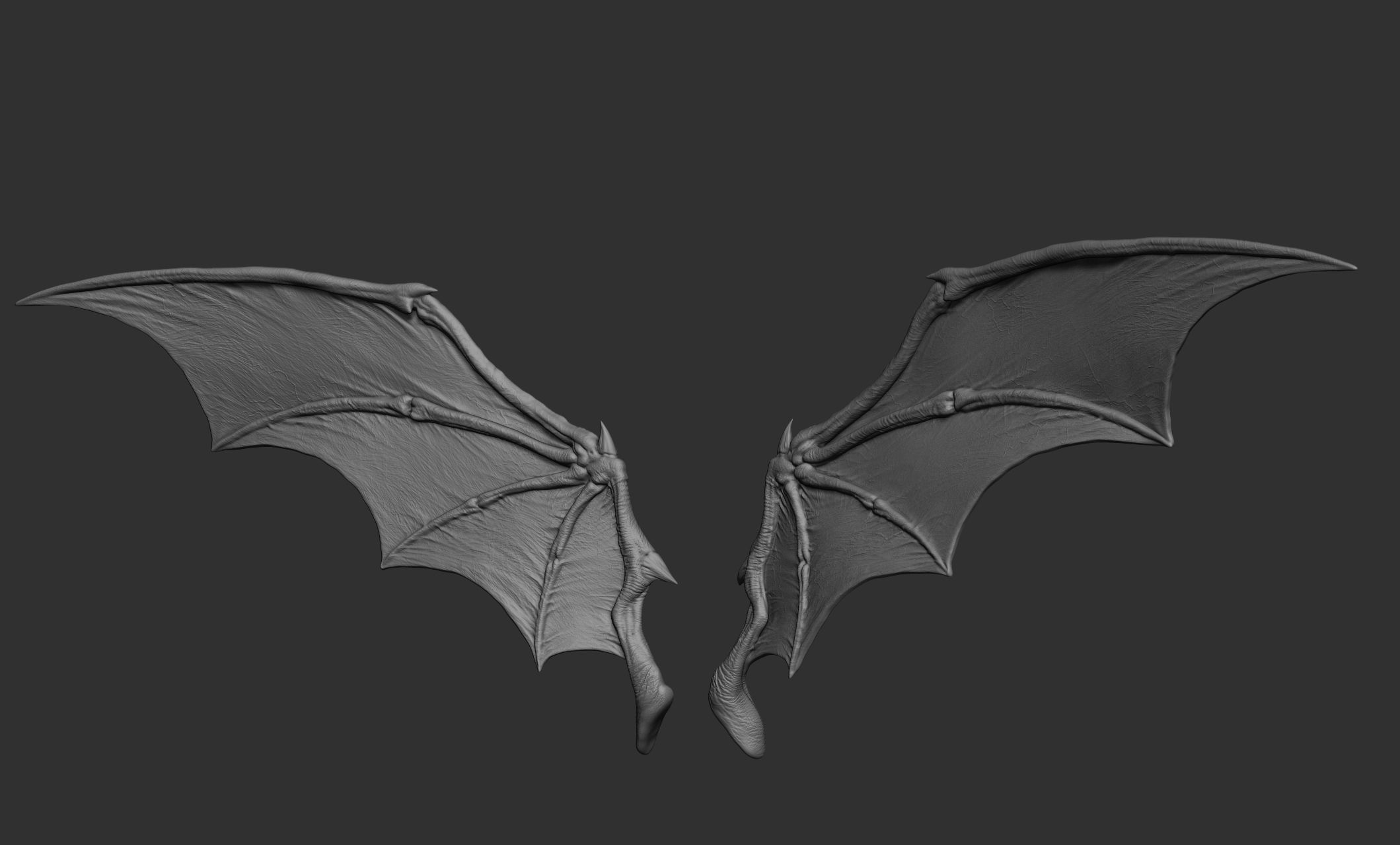 10 Creature wings  3D model_13