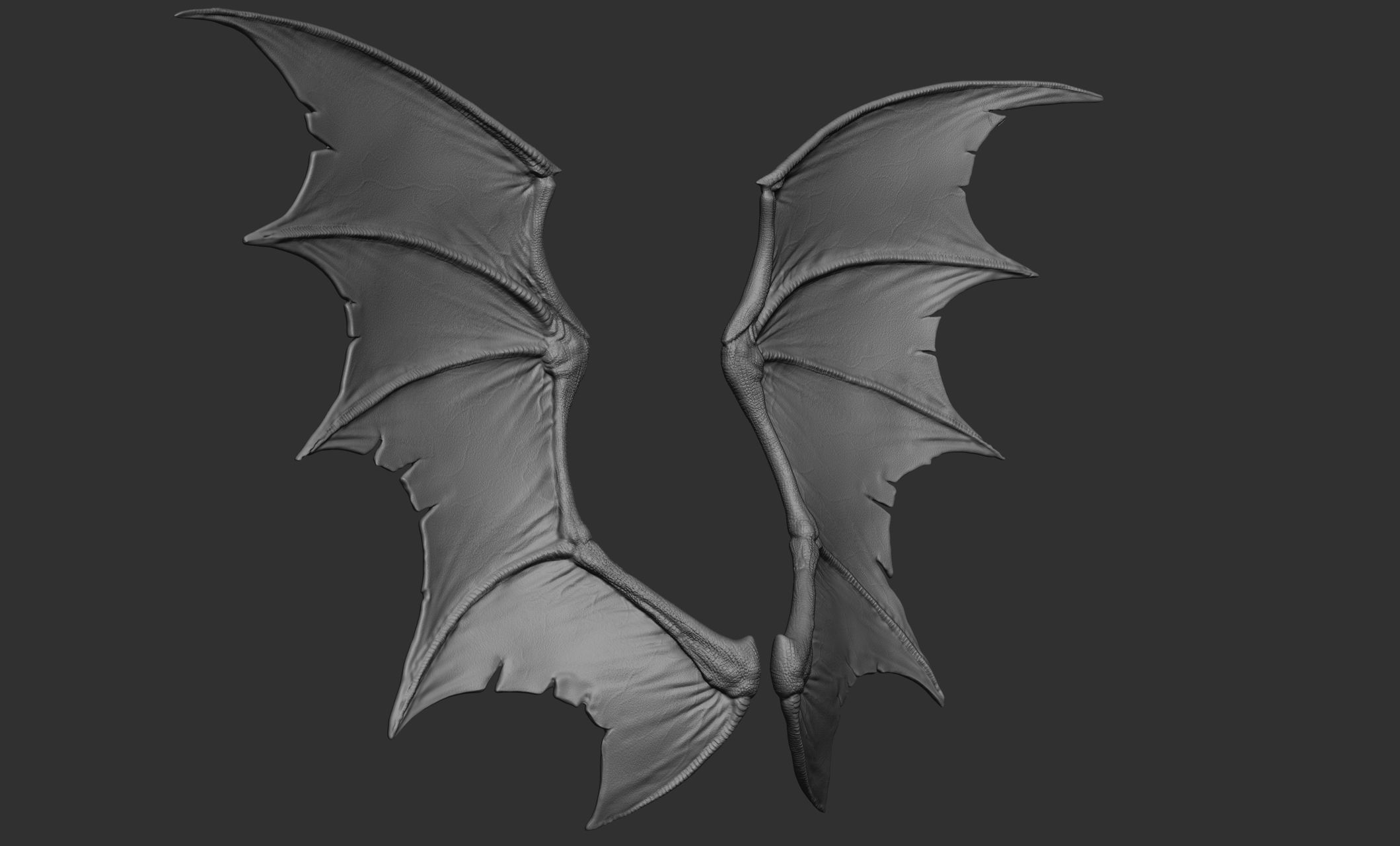 10 Creature wings  3D model_10