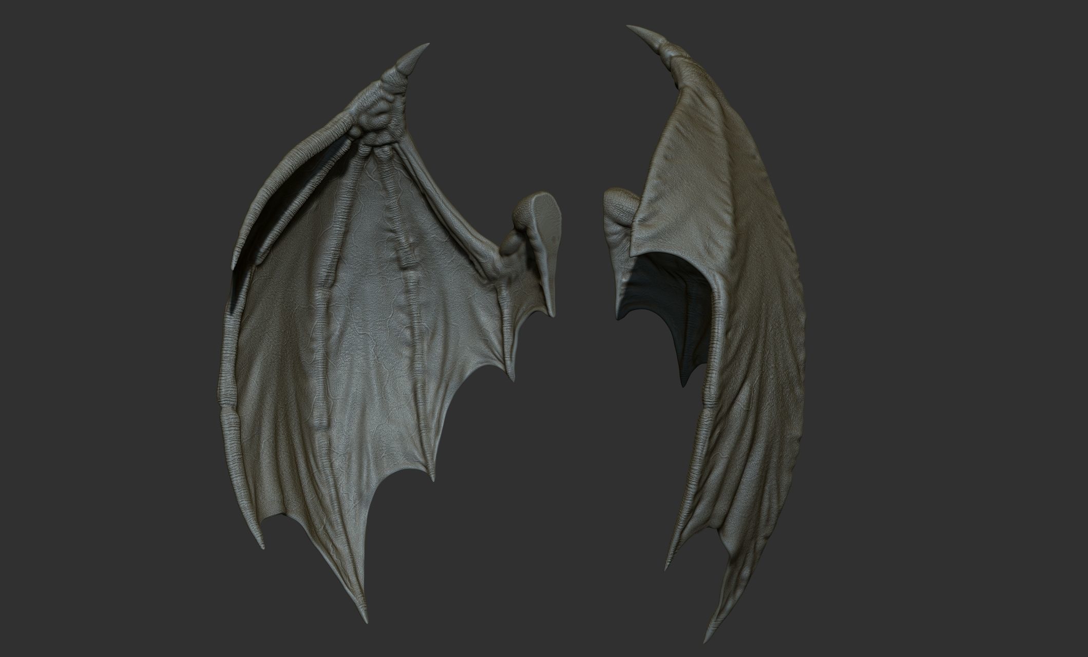 10 Creature wings  3D model_89