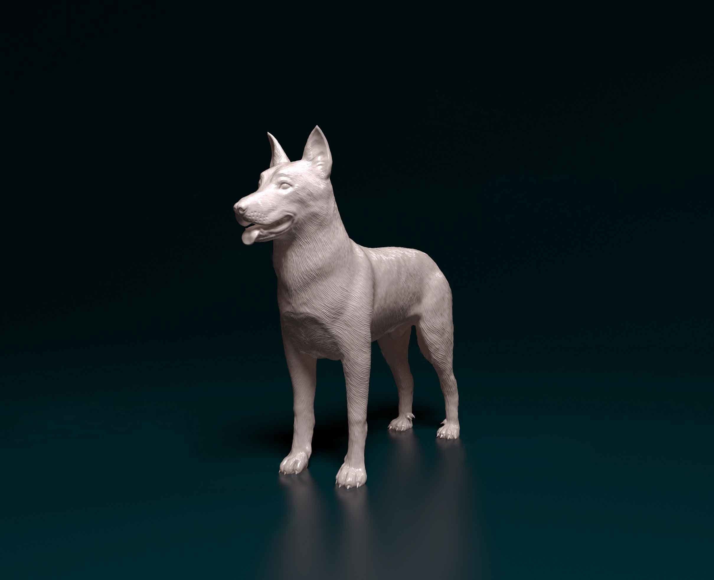 Bauceron dog 3D print model_5