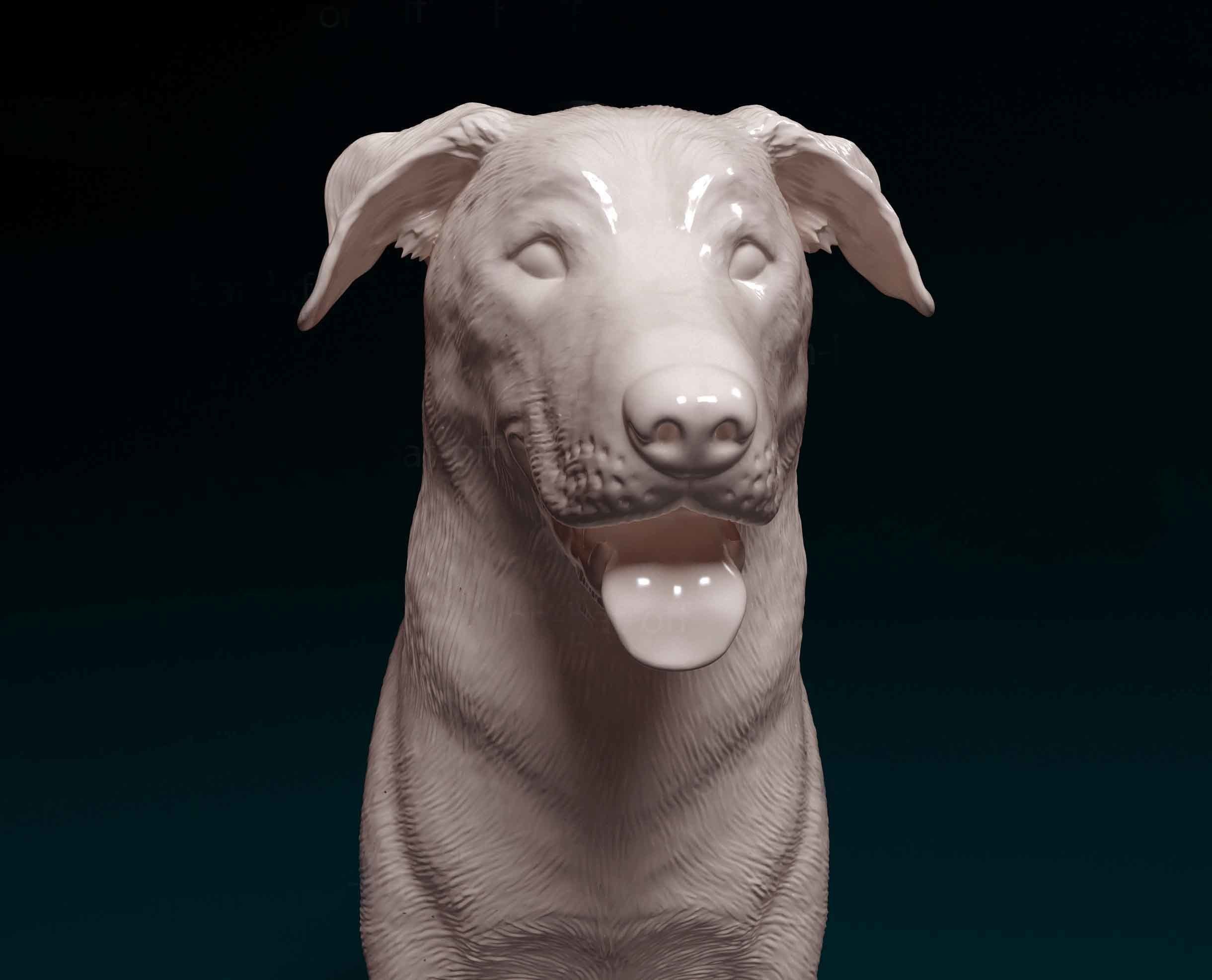 Bauceron dog 3D print model_2