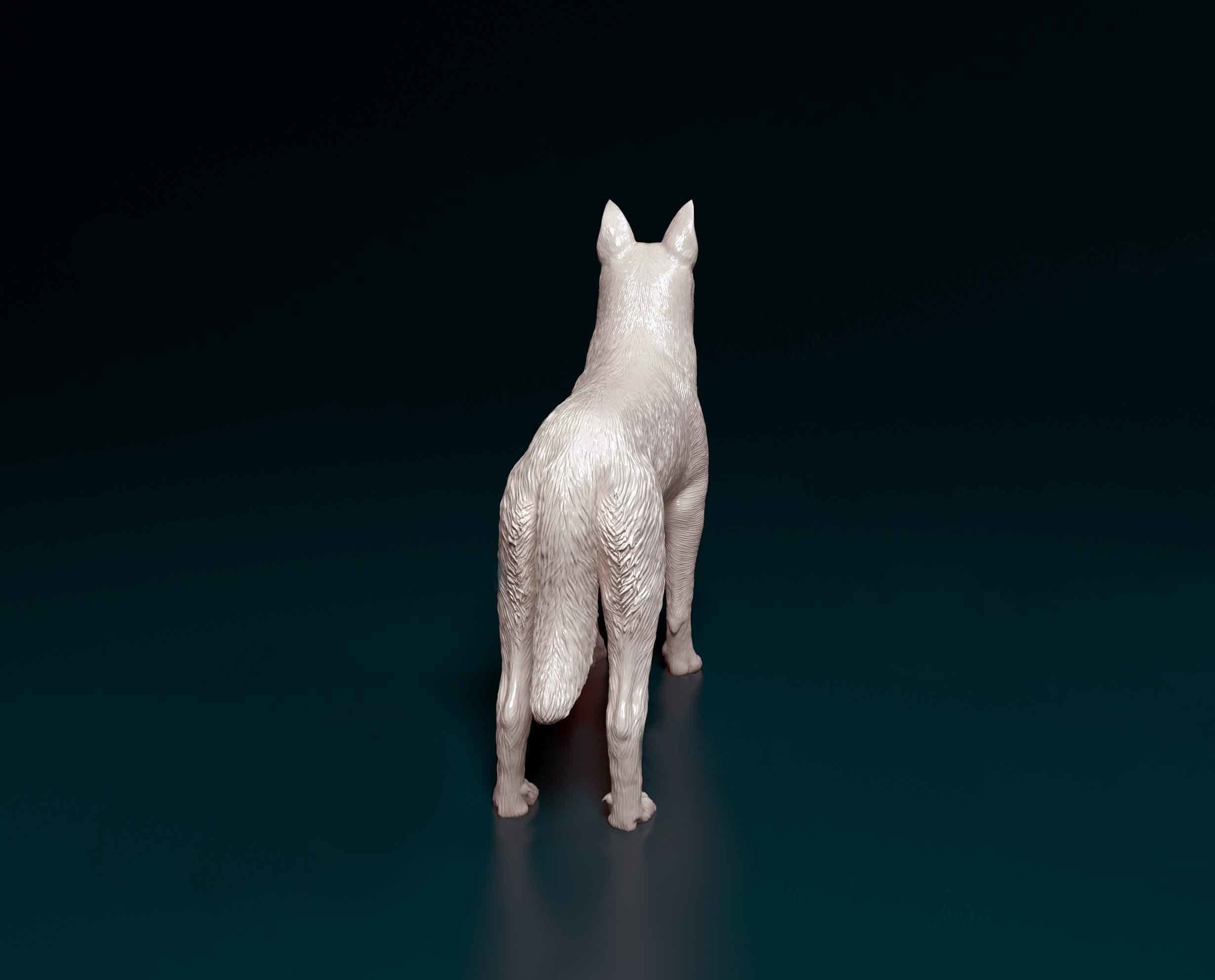 Bauceron dog 3D print model_4