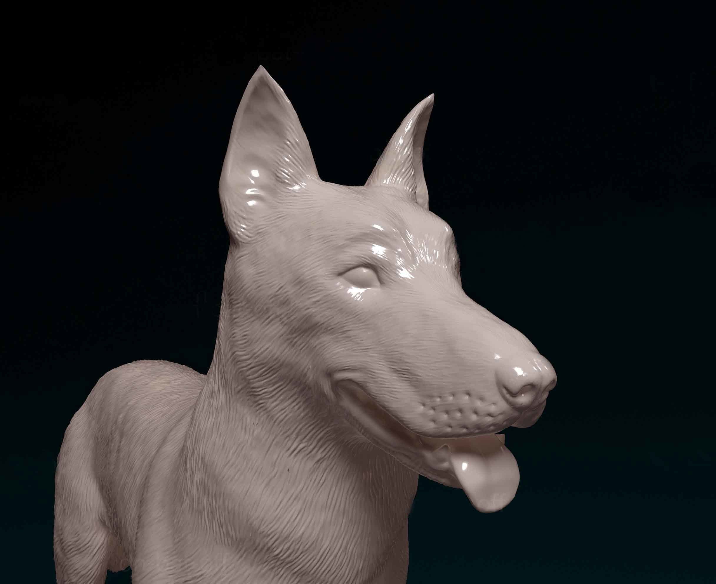 Bauceron dog 3D print model_6